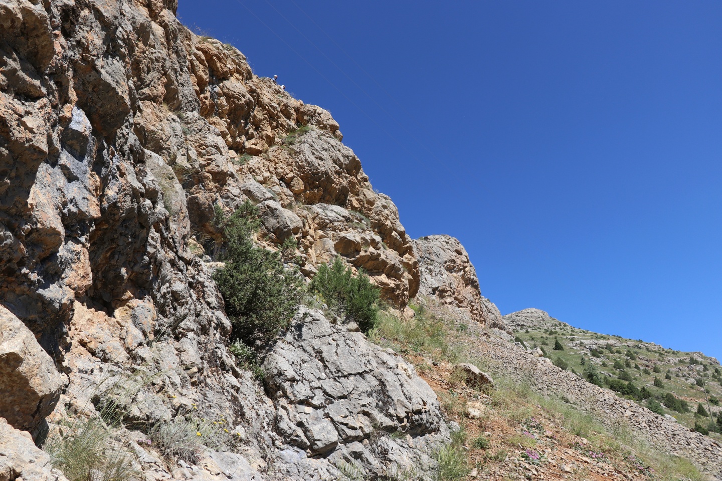 Gümüşhane’de esrarengiz olay 7