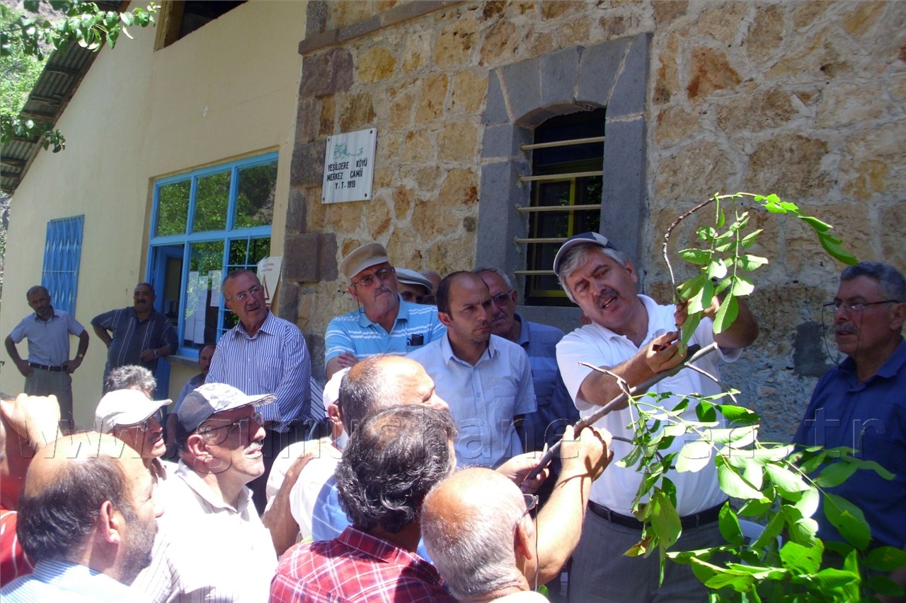 Yeşildere Köyünde Ceviz Kursu Verildi 13