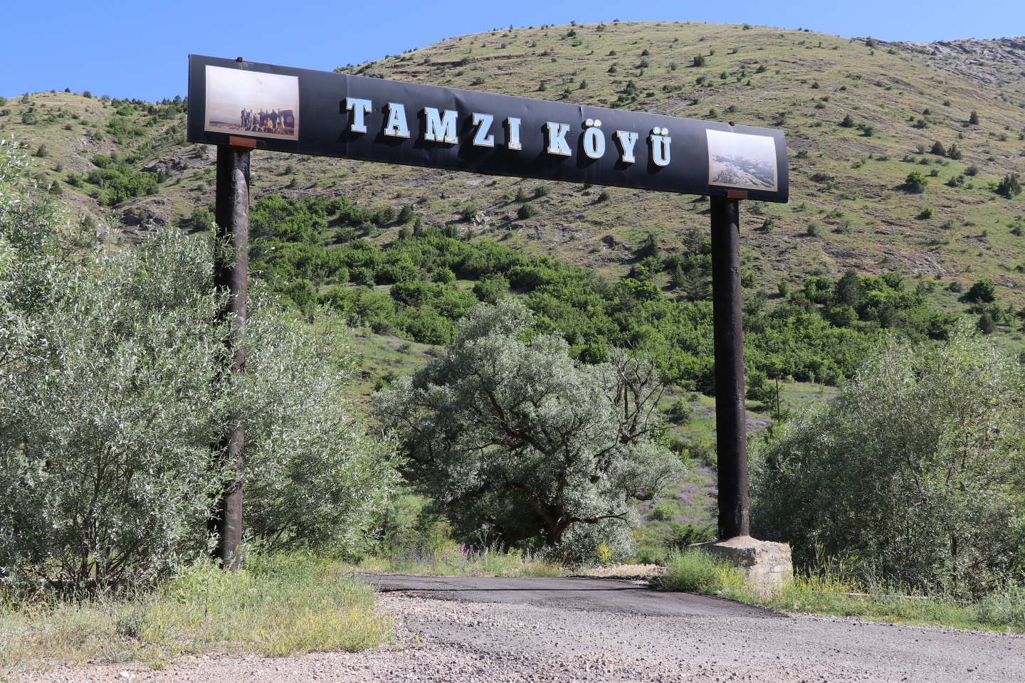 Gümüşhane’de esrarengiz olay 10