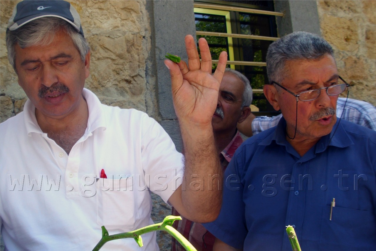 Yeşildere Köyünde Ceviz Kursu Verildi 15