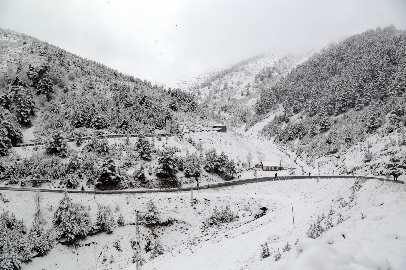 Zigana dağında kar kalınlığı 15 santimetreyi geçti 7