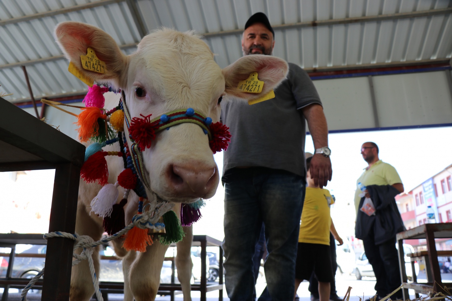 Kelkit'te 10.Organik Tarım ve Hayvancılık Festivali yapıldı 8