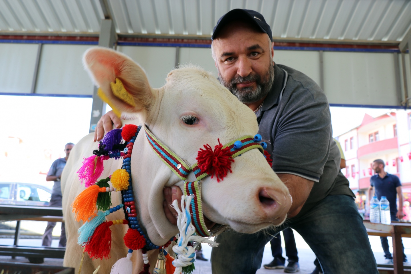 Kelkit'te 10.Organik Tarım ve Hayvancılık Festivali yapıldı 5