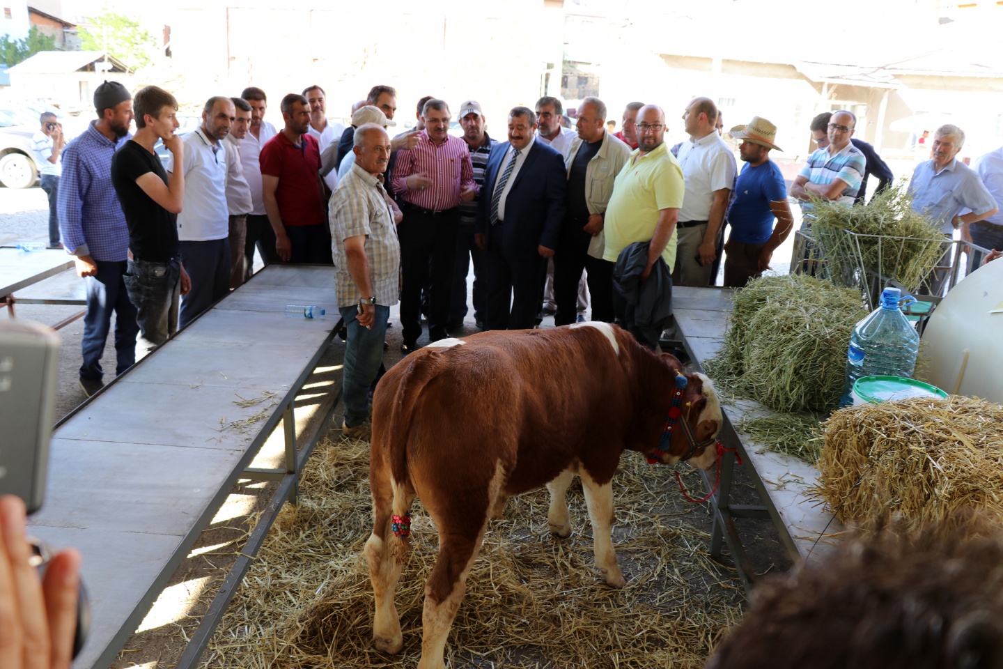 Kelkit'te 10.Organik Tarım ve Hayvancılık Festivali yapıldı 43