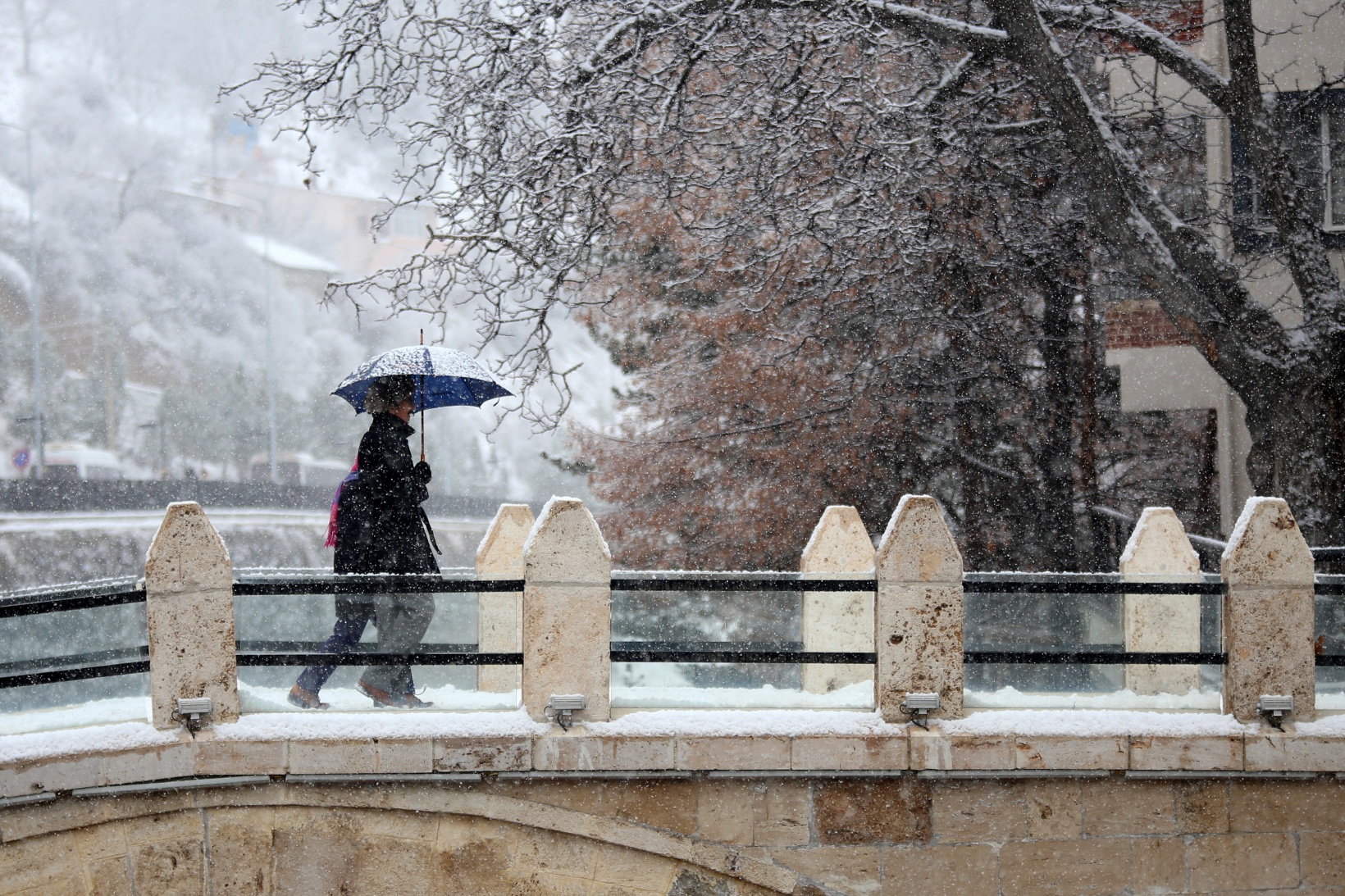 Gümüşhane’den kartpostallık kar manzaraları 7