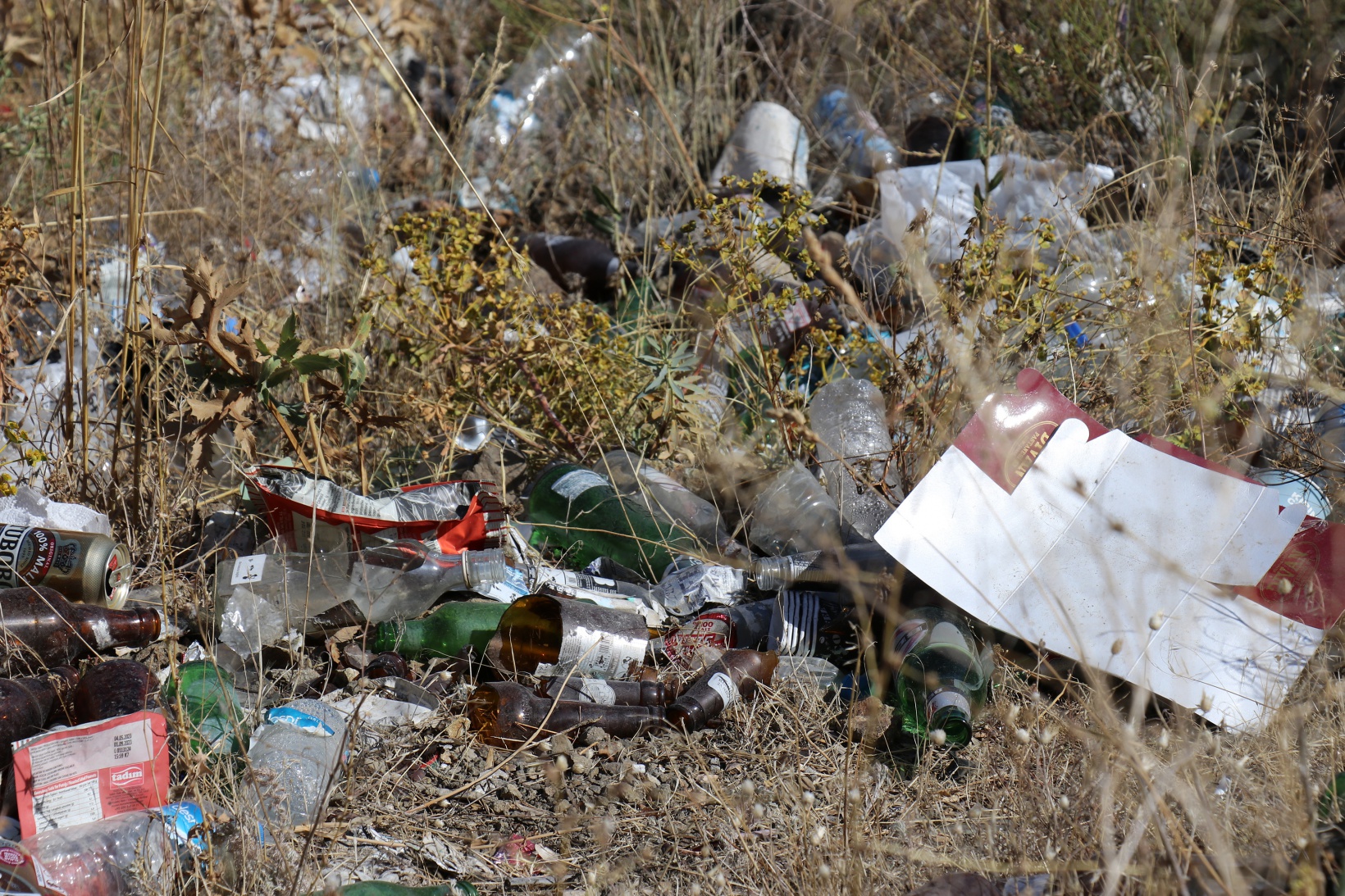 Gümüşhane’de Dünya Temizlik Gününde çevre temizliği yapıldı 19