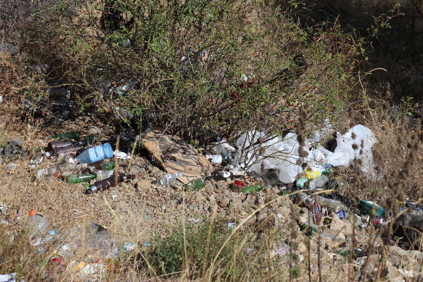 Gümüşhane’de Dünya Temizlik Gününde çevre temizliği yapıldı 35