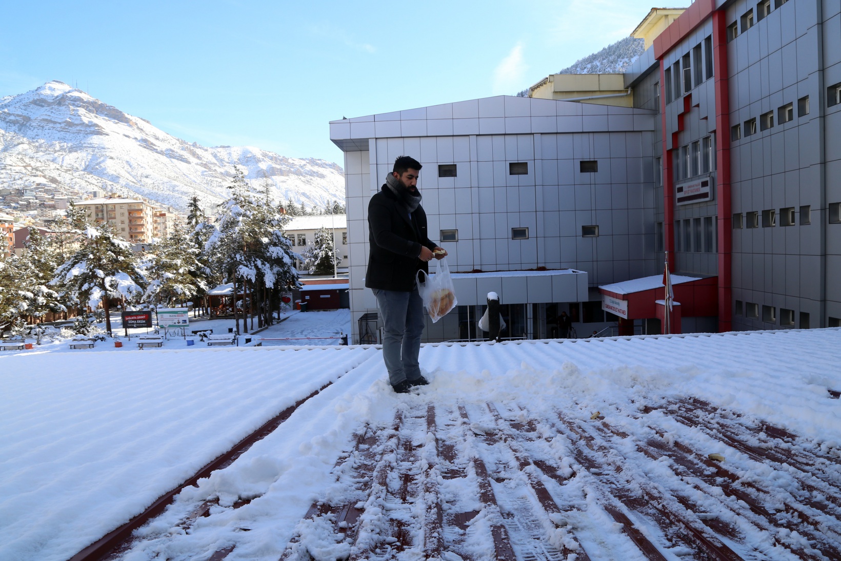 Hayvansever psikolog örnek oluyor 10