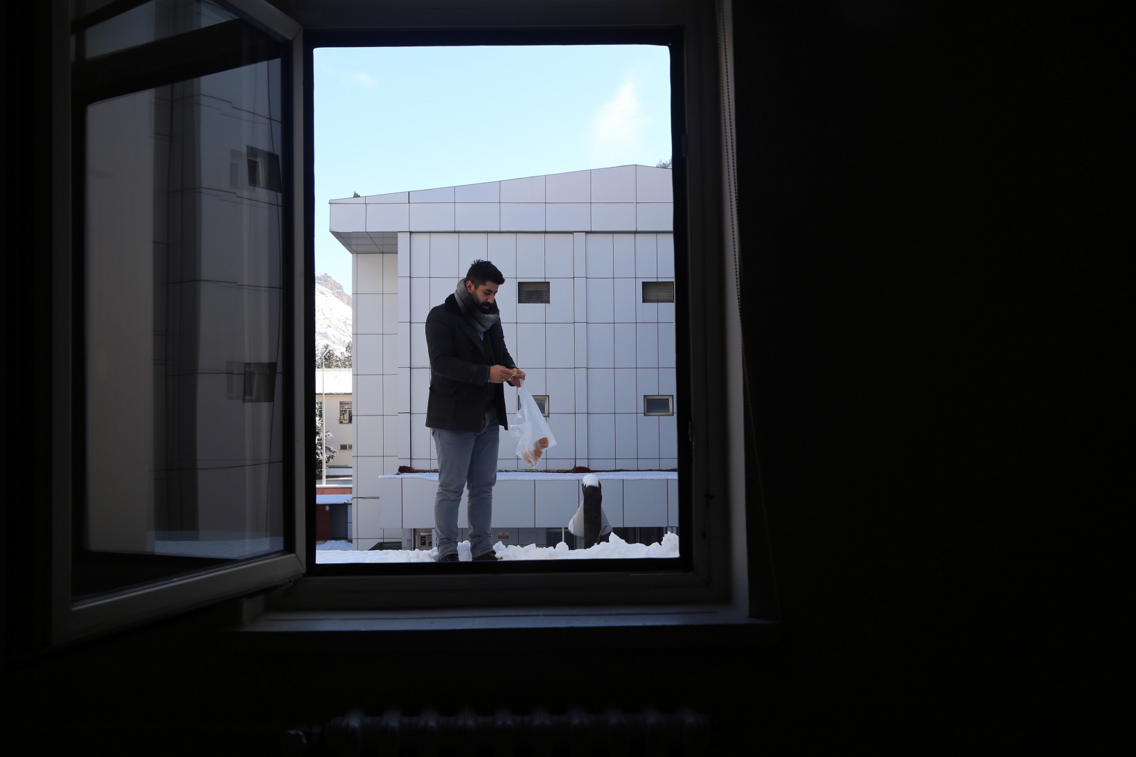 Hayvansever psikolog örnek oluyor 2