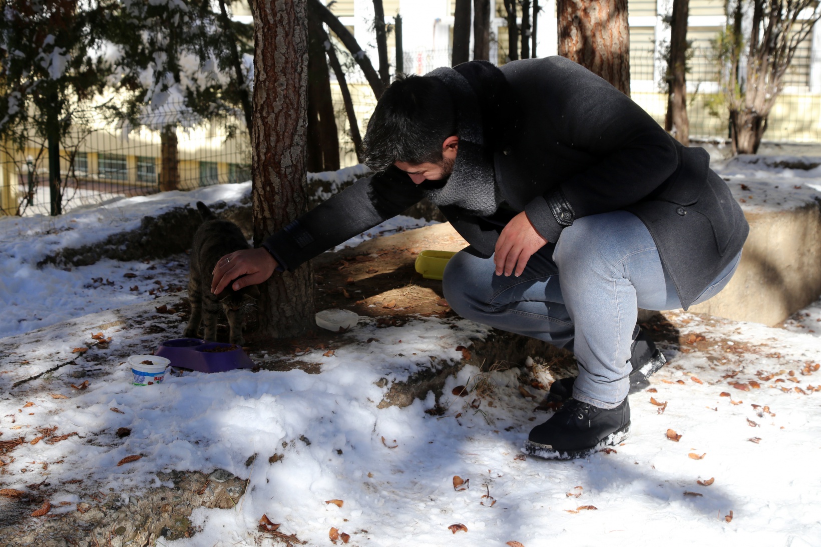 Hayvansever psikolog örnek oluyor 9