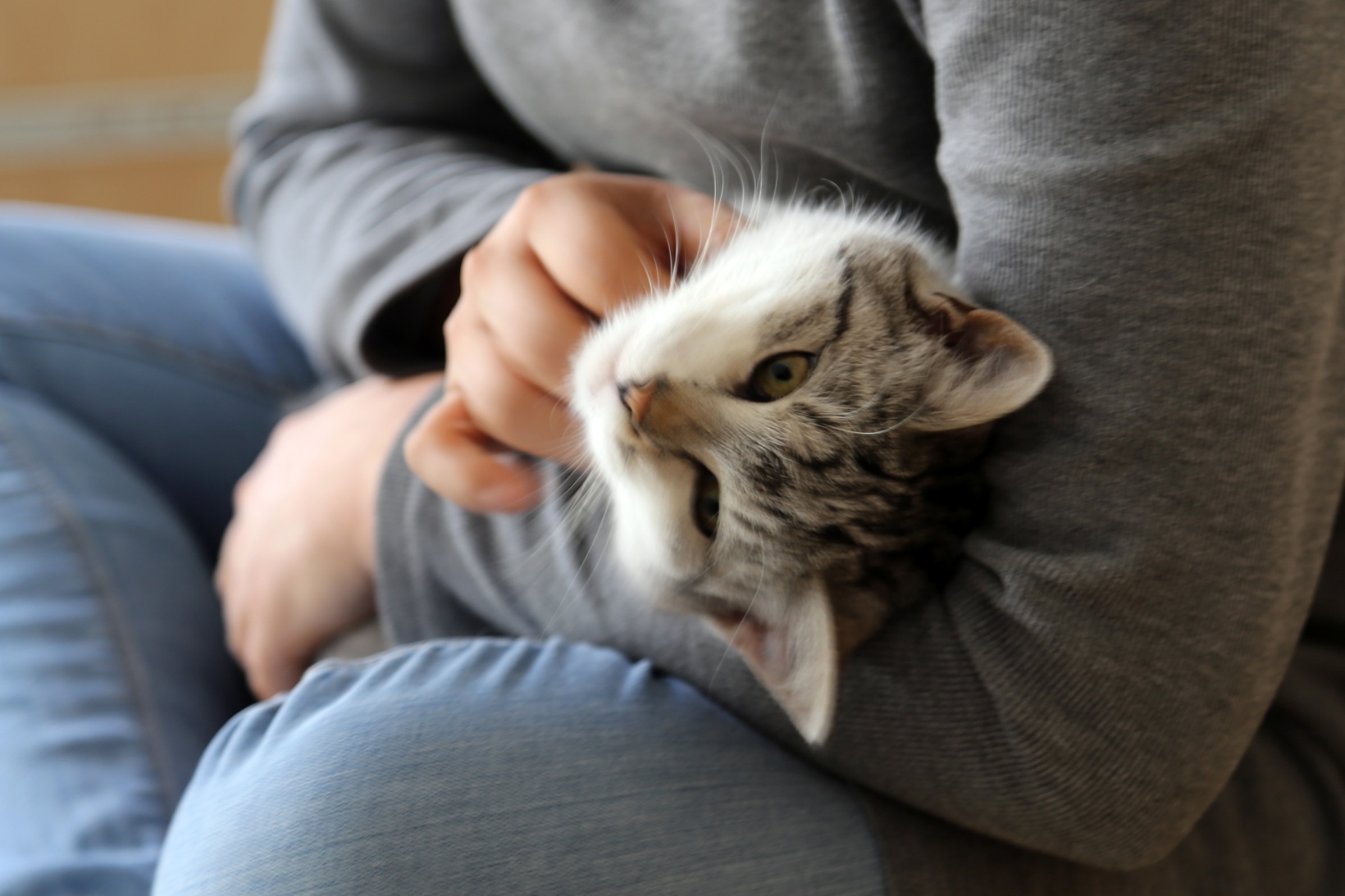 Hayvansever psikolog örnek oluyor 5