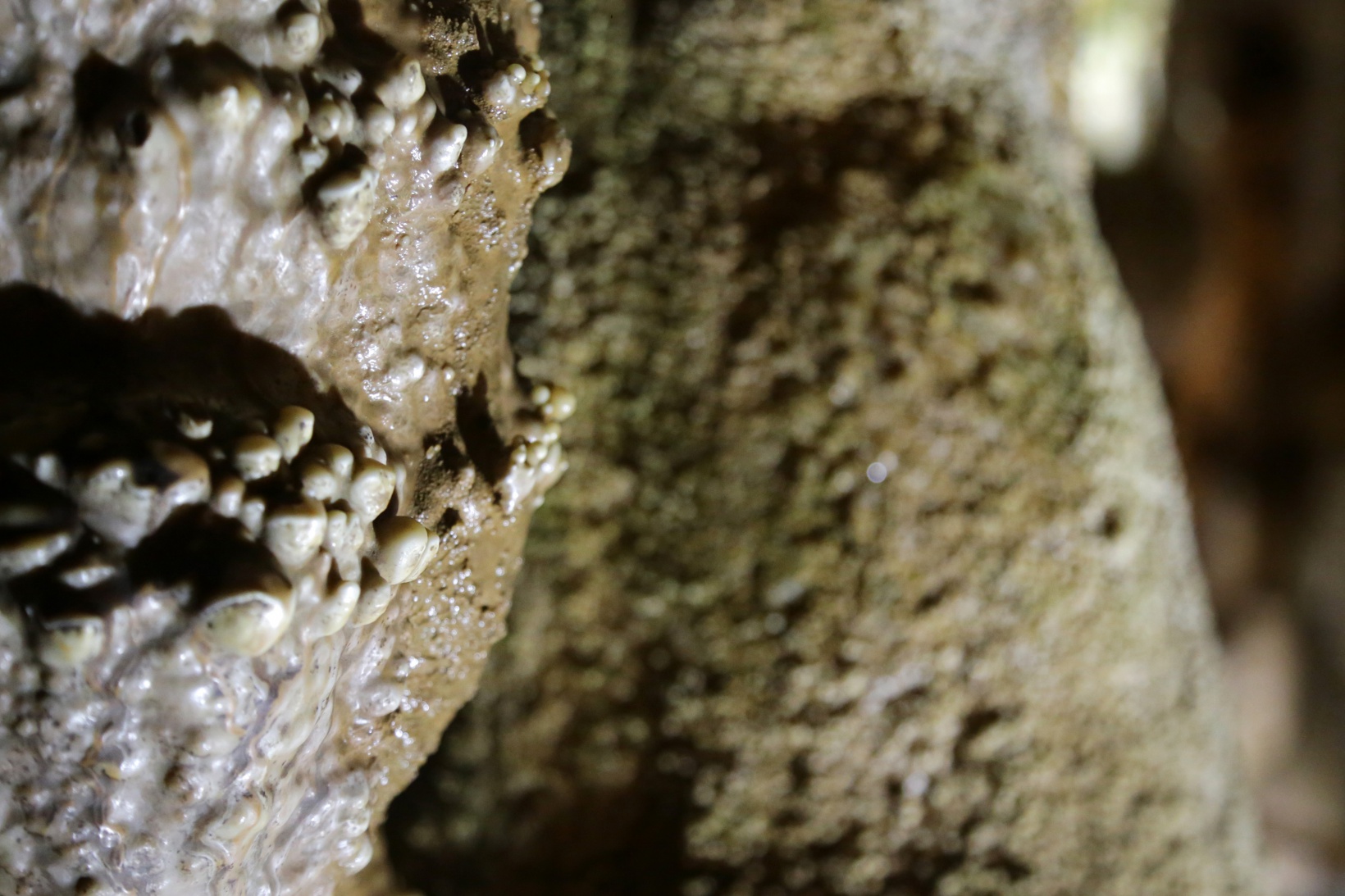 Yer altındaki gizemli dünyayı 120 bin kişi ziyaret etti 4