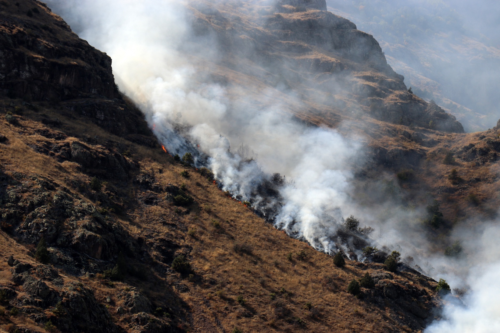 Gümüşhane’de örtü yangını: 2 hektarlık alan küle döndü  5