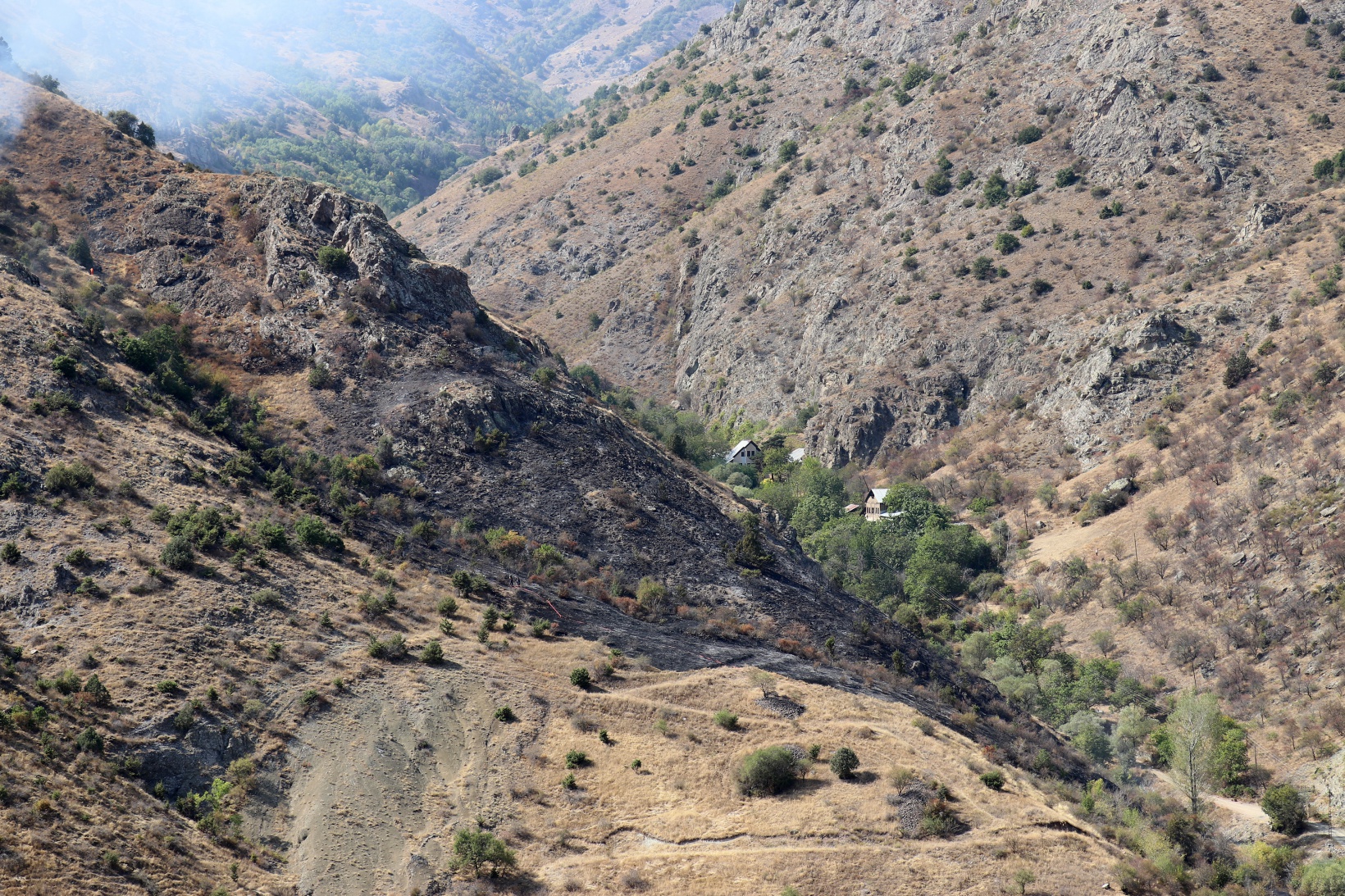 Gümüşhane’de örtü yangını: 2 hektarlık alan küle döndü  8