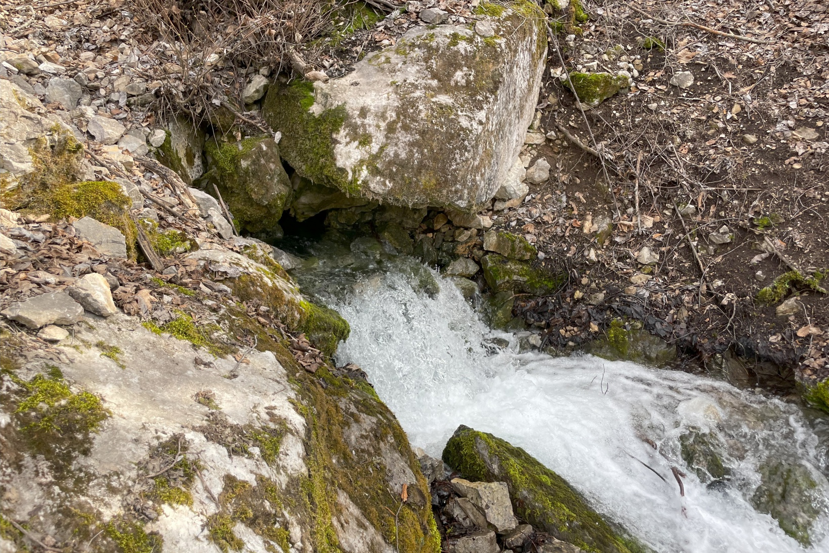 Gümüşhane'nin gizemli su kaynakları: Baharda çıkıp yazın kayboluyor 19