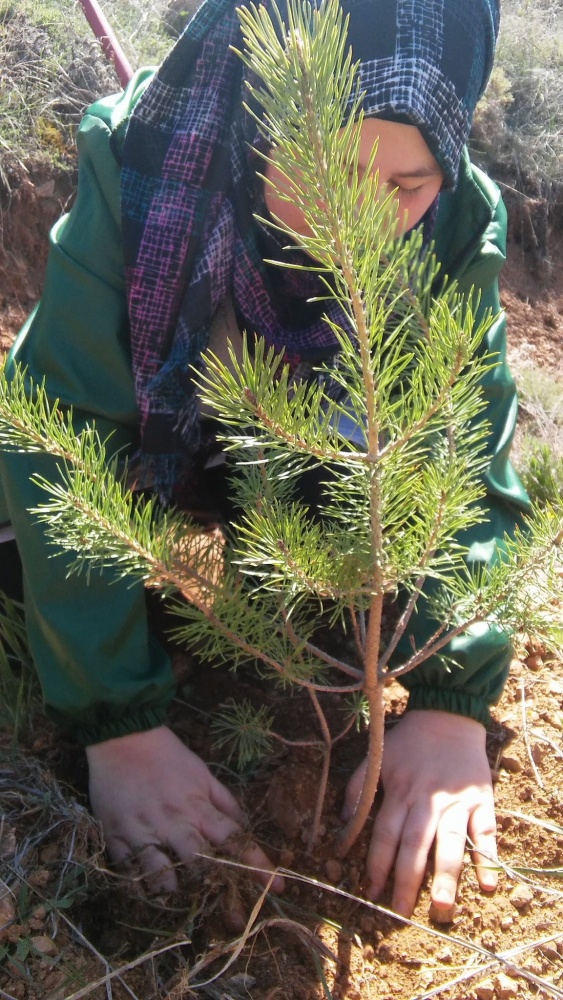 Gençler 101 fidanı toprakla buluşturdu 4