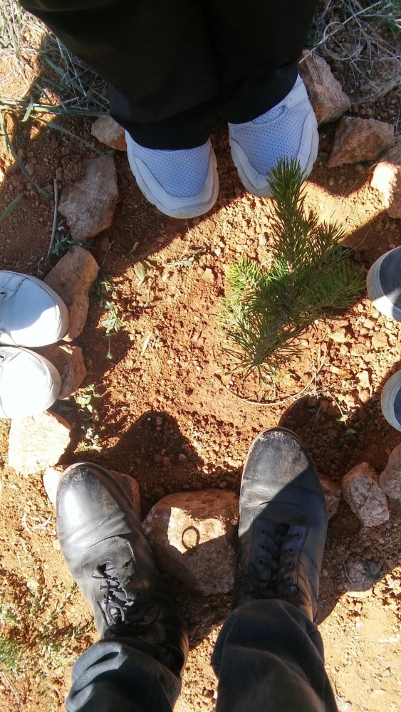 Gençler 101 fidanı toprakla buluşturdu 6