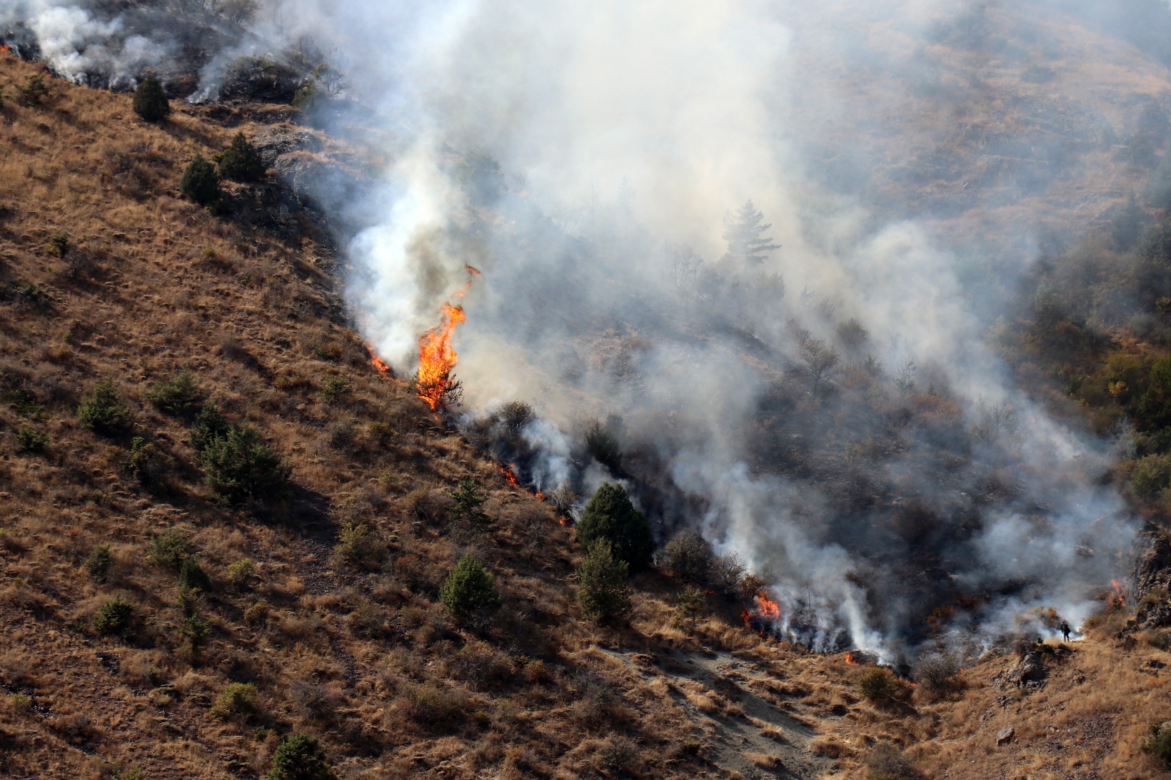 Gümüşhane’de örtü yangını: 2 hektarlık alan küle döndü  7