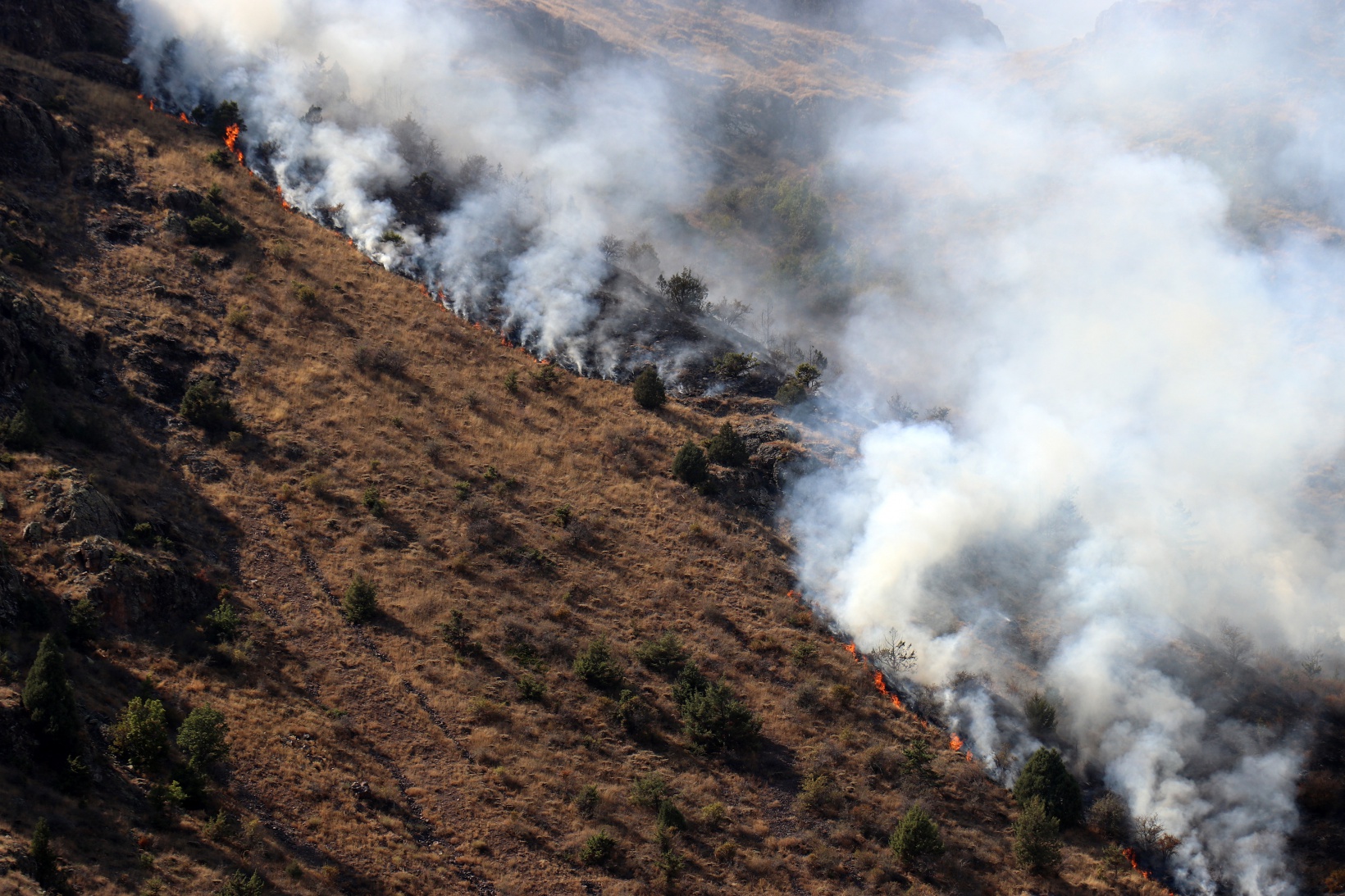 Gümüşhane’de örtü yangını: 2 hektarlık alan küle döndü  6