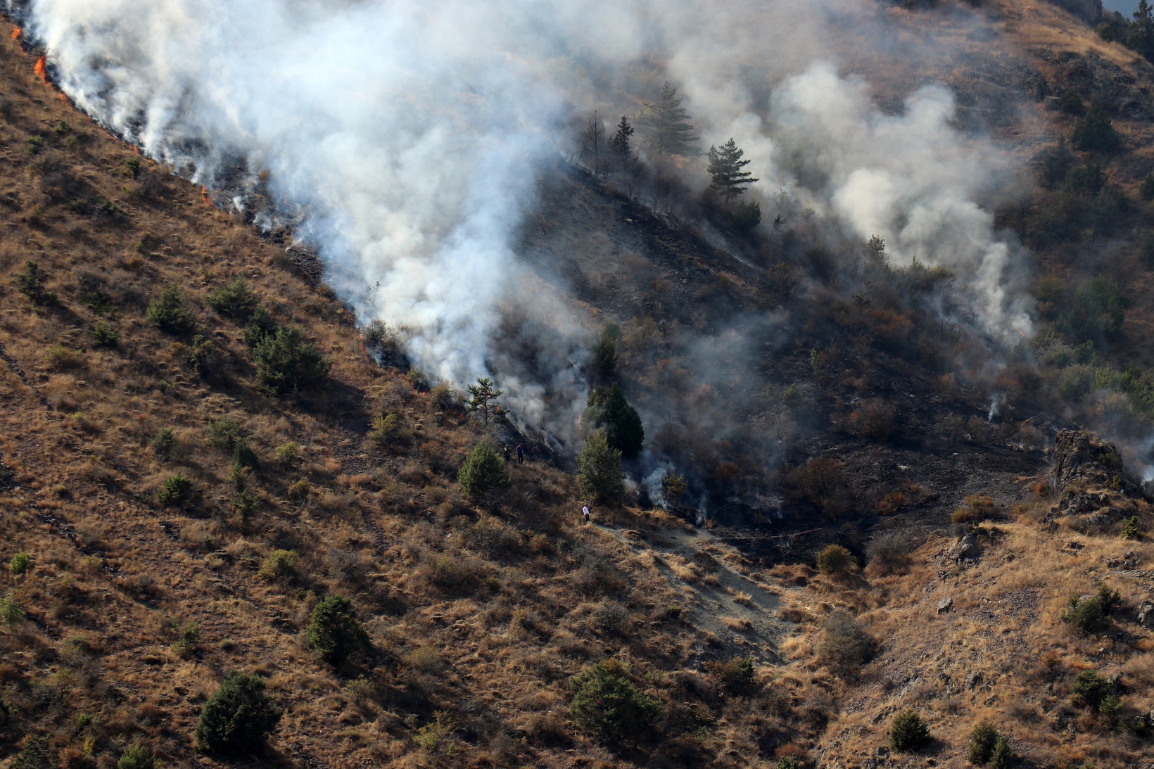 Gümüşhane’de örtü yangını: 2 hektarlık alan küle döndü  3