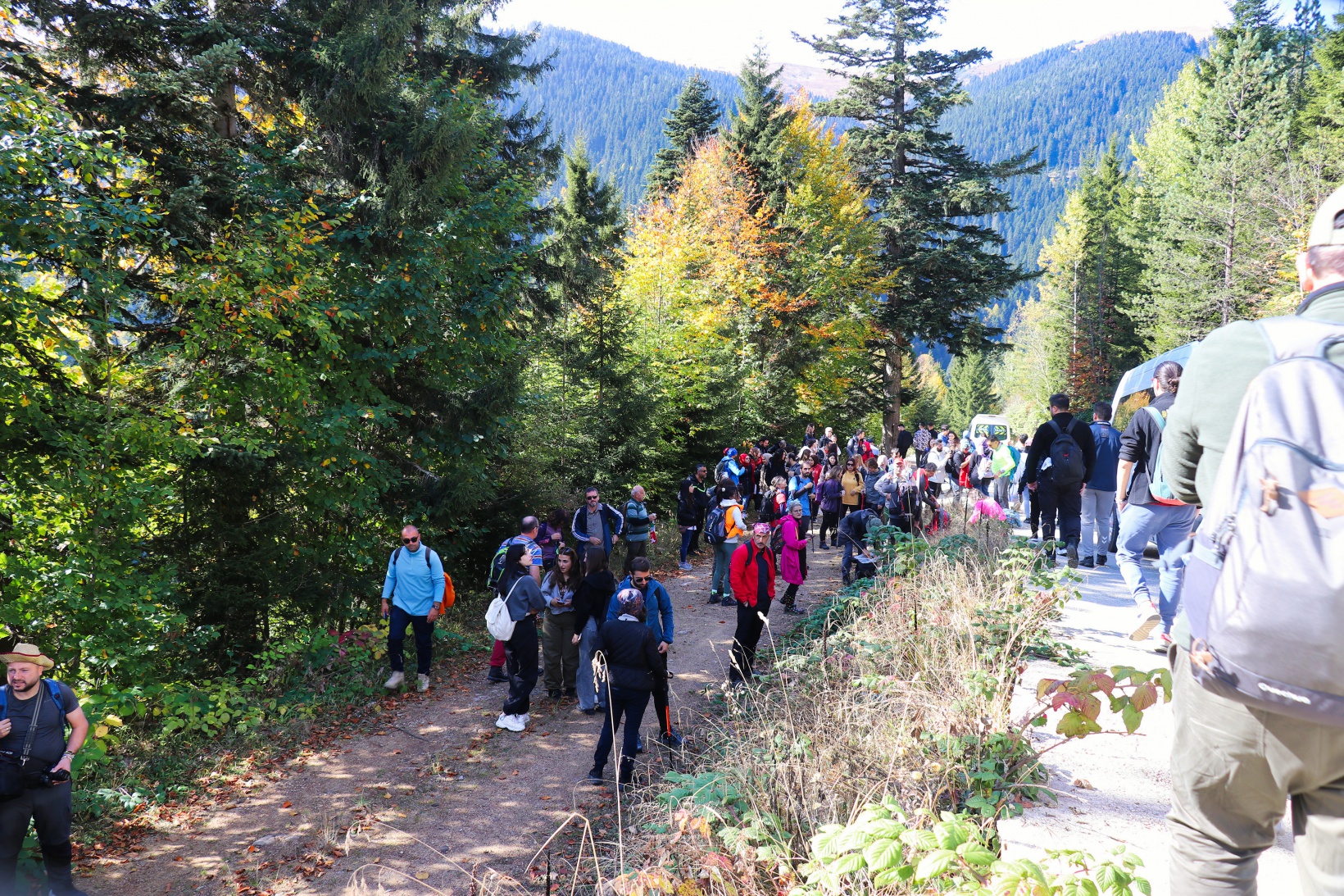 Doğa harikası Örümcek Ormanlarında renk cümbüşü başladı 54