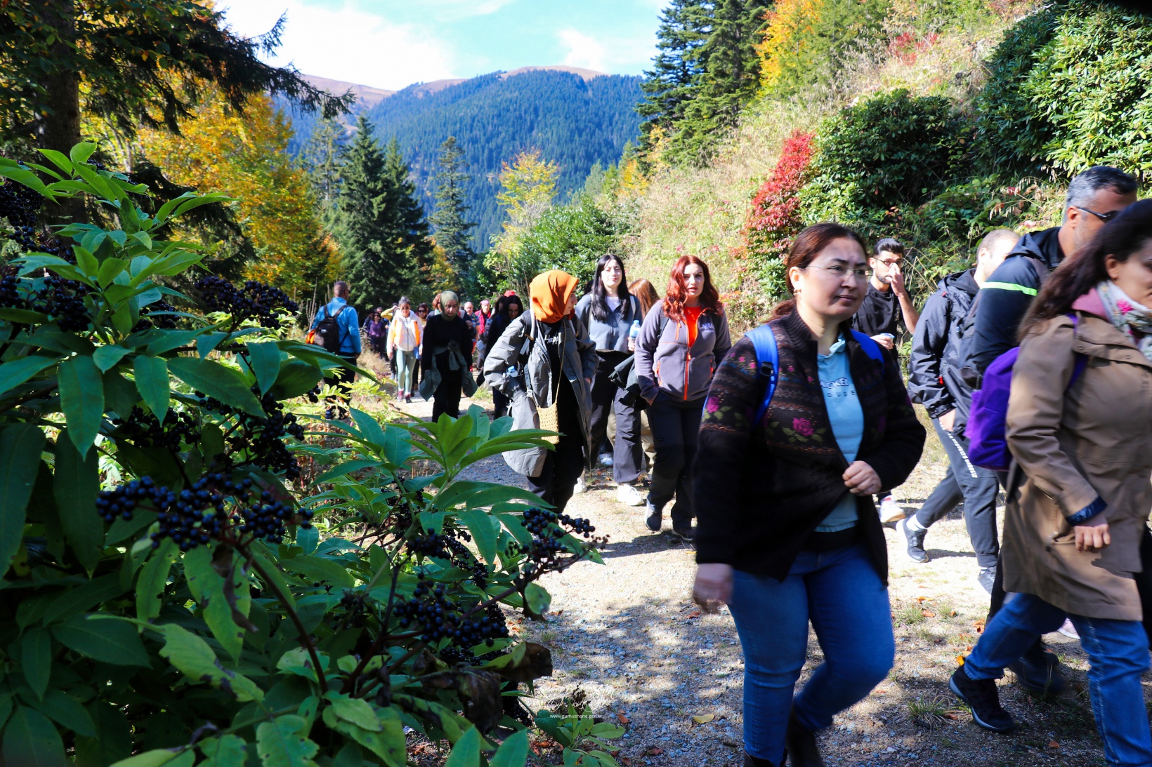 Doğa harikası Örümcek Ormanlarında renk cümbüşü başladı 20