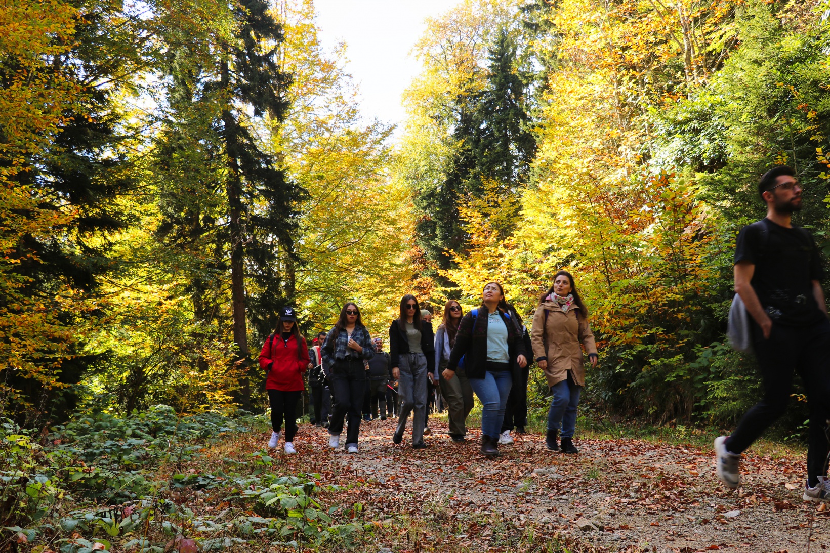 Doğa harikası Örümcek Ormanlarında renk cümbüşü başladı 47