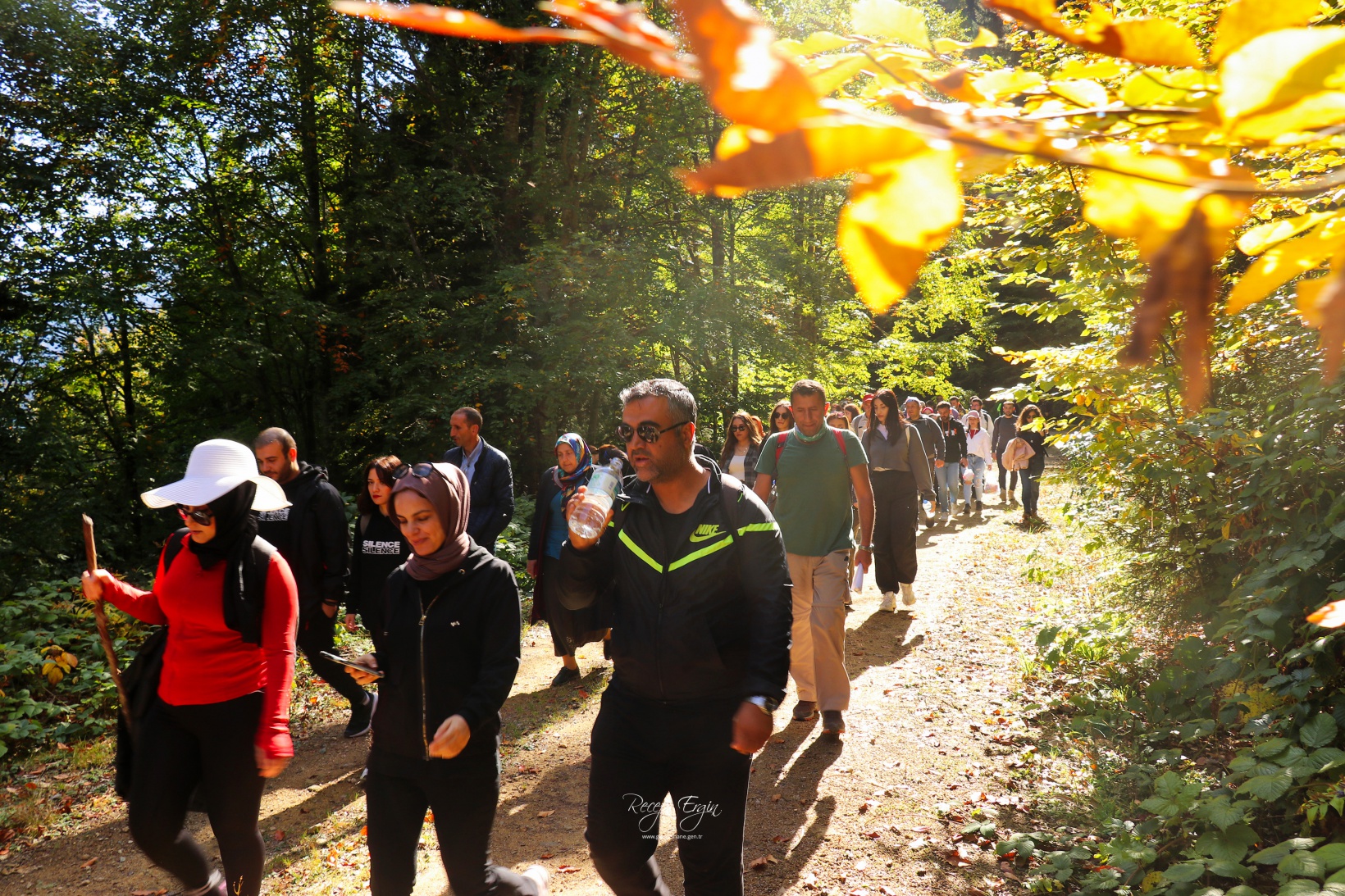 Doğa harikası Örümcek Ormanlarında renk cümbüşü başladı 45
