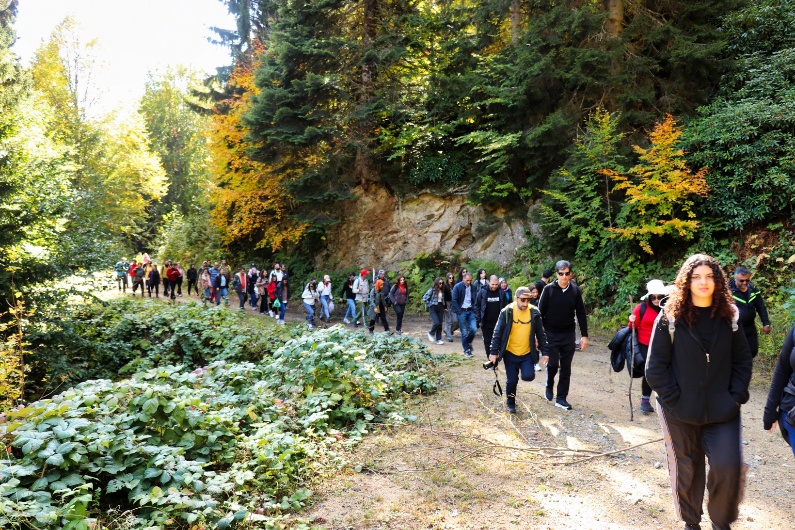 Doğa harikası Örümcek Ormanlarında renk cümbüşü başladı 8