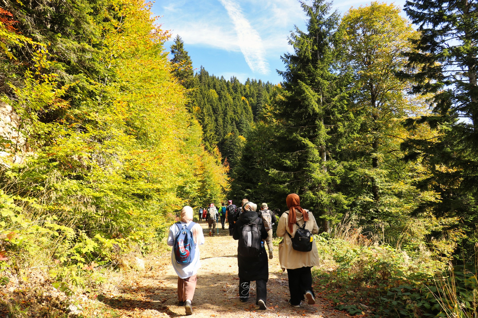 Doğa harikası Örümcek Ormanlarında renk cümbüşü başladı 52