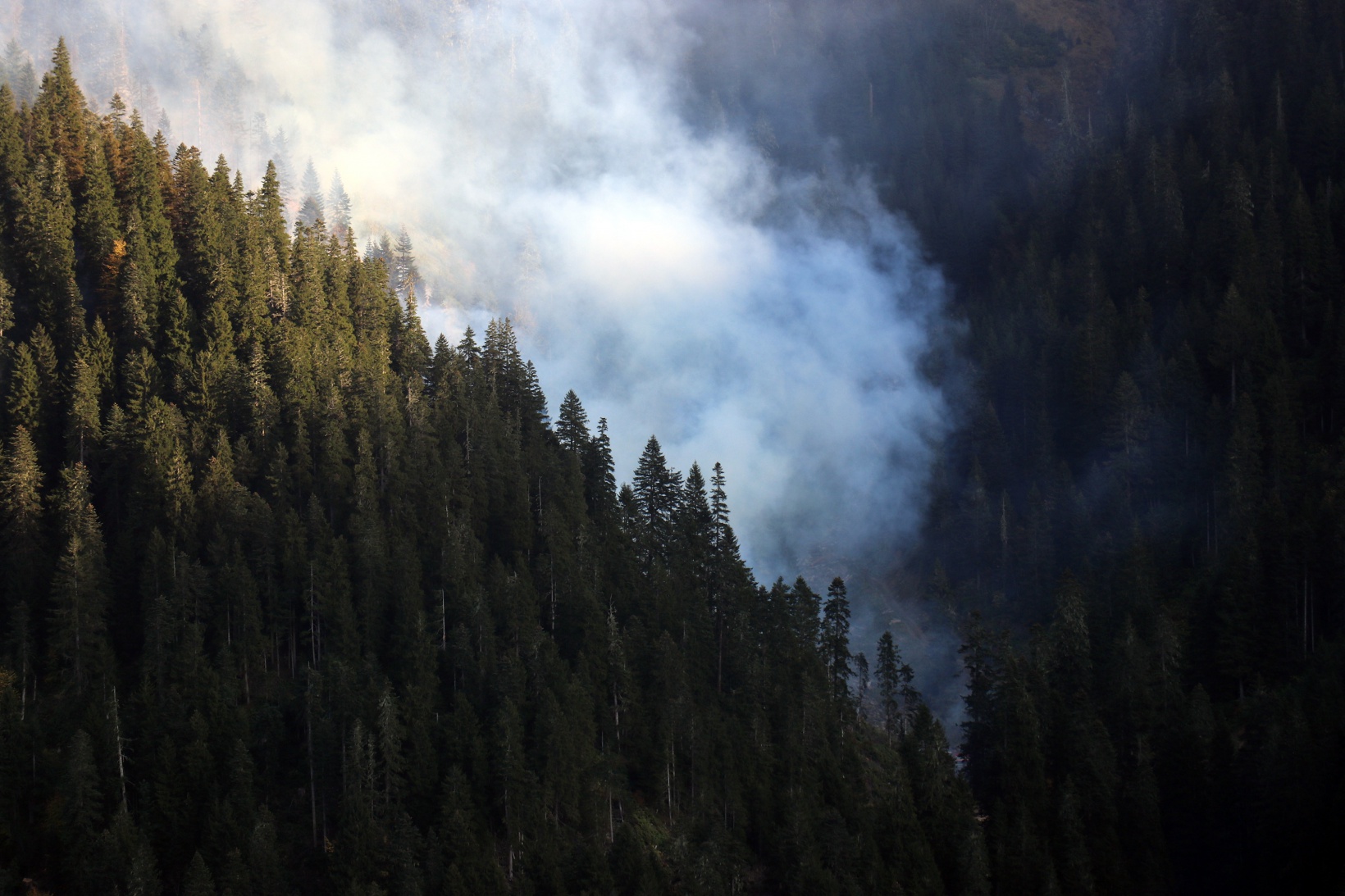 Kürtün’deki yangınlara müdahale devam ediyor 1