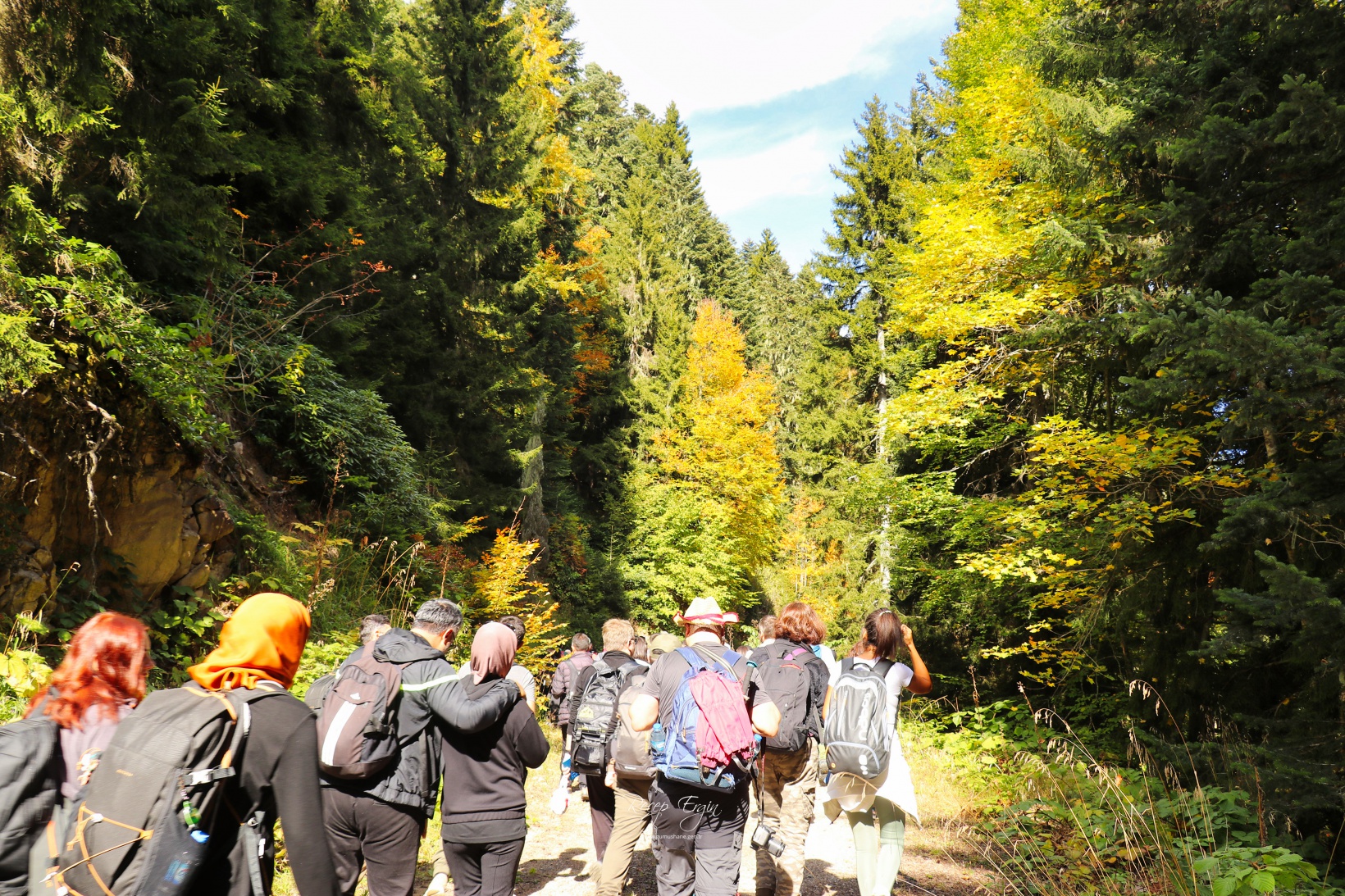 Doğa harikası Örümcek Ormanlarında renk cümbüşü başladı 14