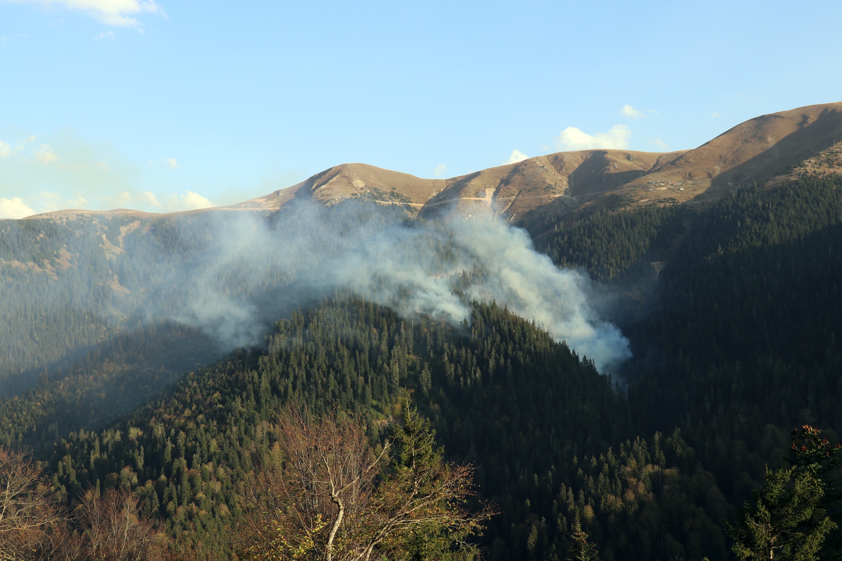 Kürtün’deki yangınlara müdahale devam ediyor 14