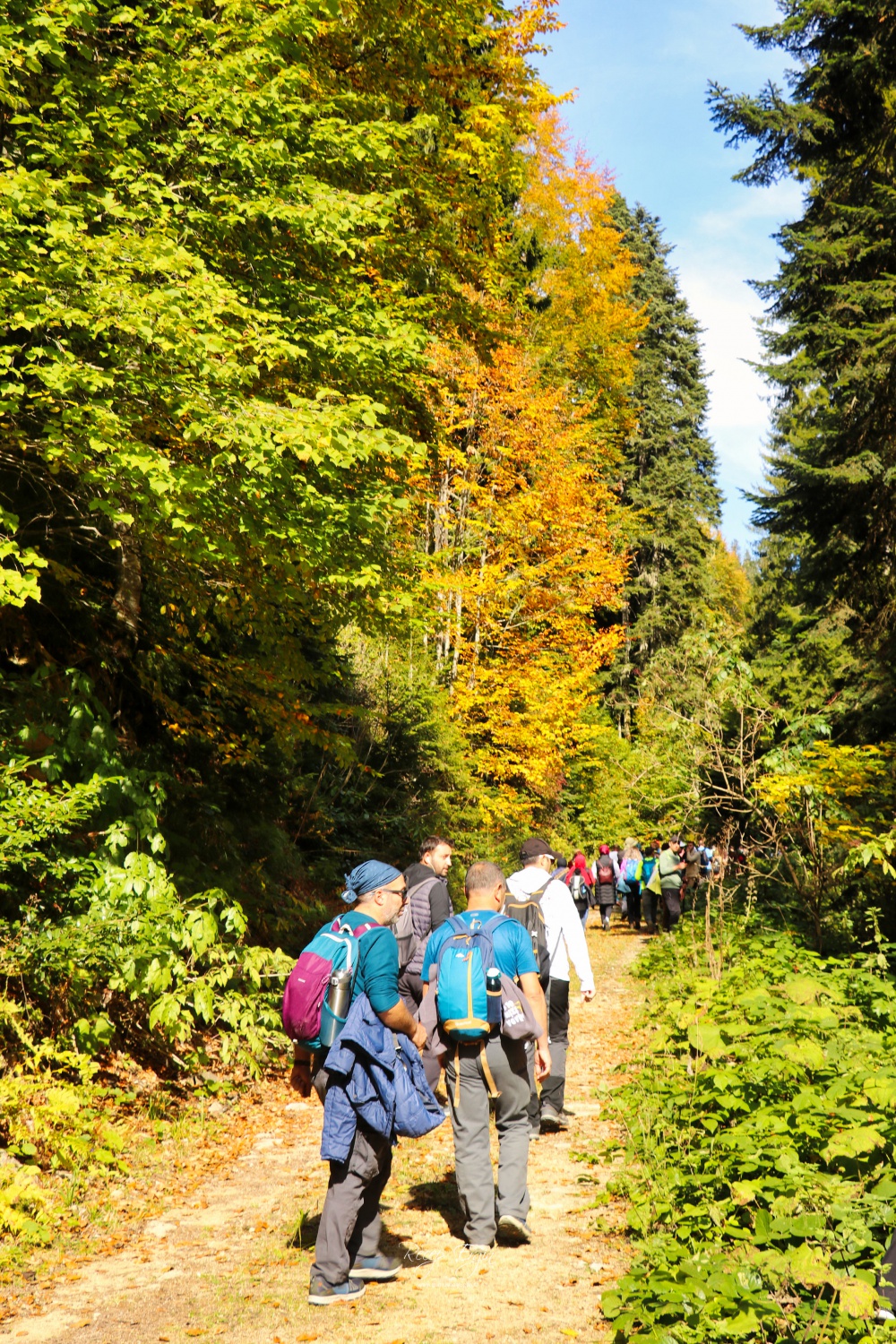 Doğa harikası Örümcek Ormanlarında renk cümbüşü başladı 51