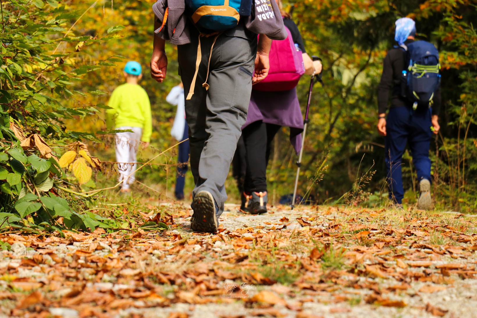 Doğa harikası Örümcek Ormanlarında renk cümbüşü başladı 36