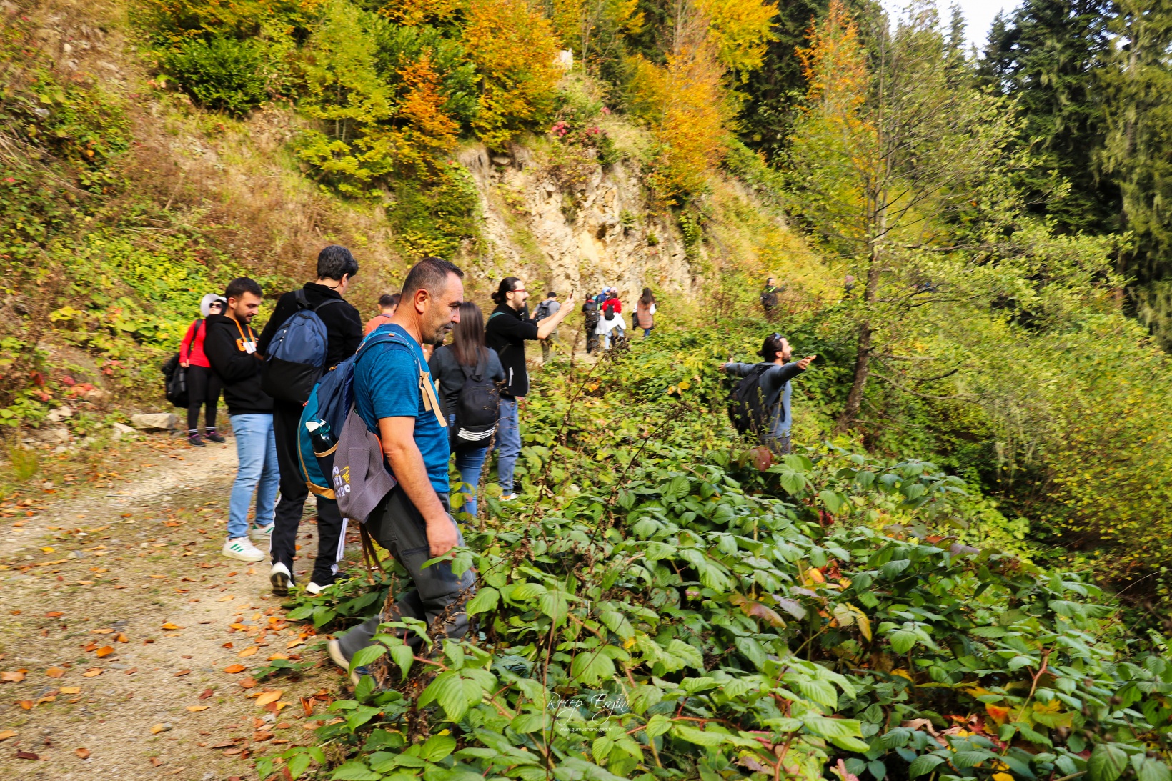 Doğa harikası Örümcek Ormanlarında renk cümbüşü başladı 44