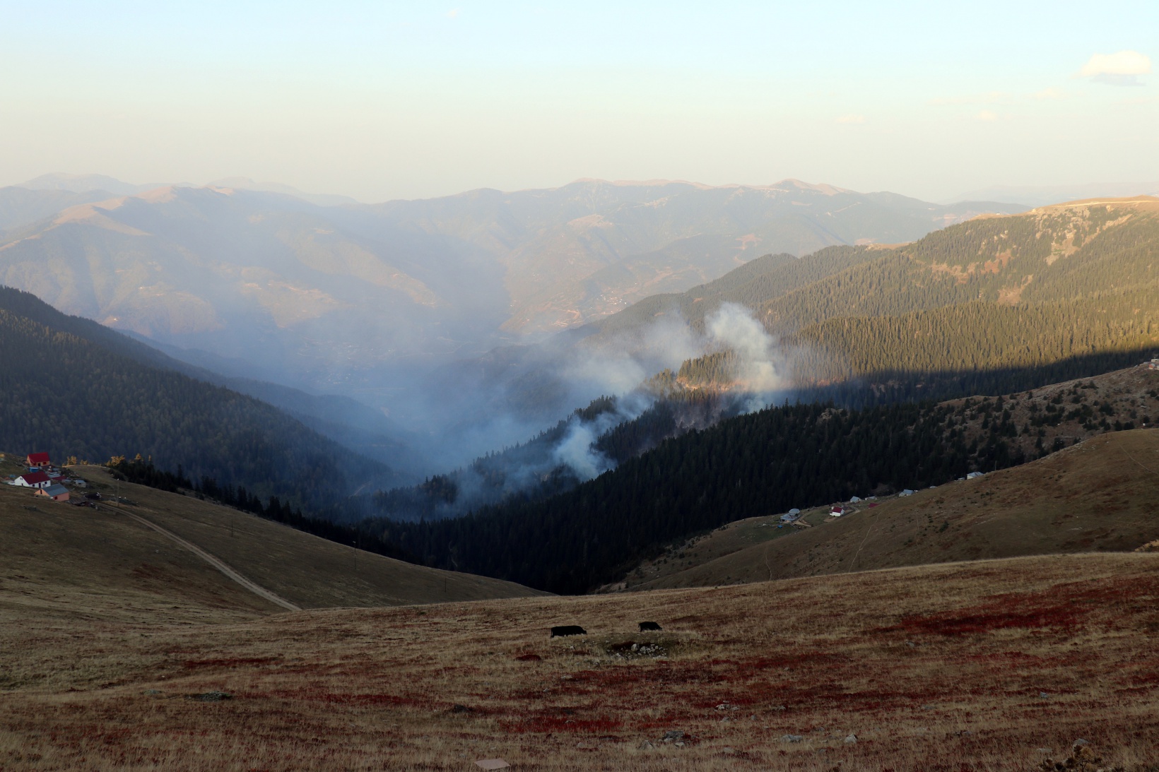 Kürtün’deki yangınlara müdahale devam ediyor 7