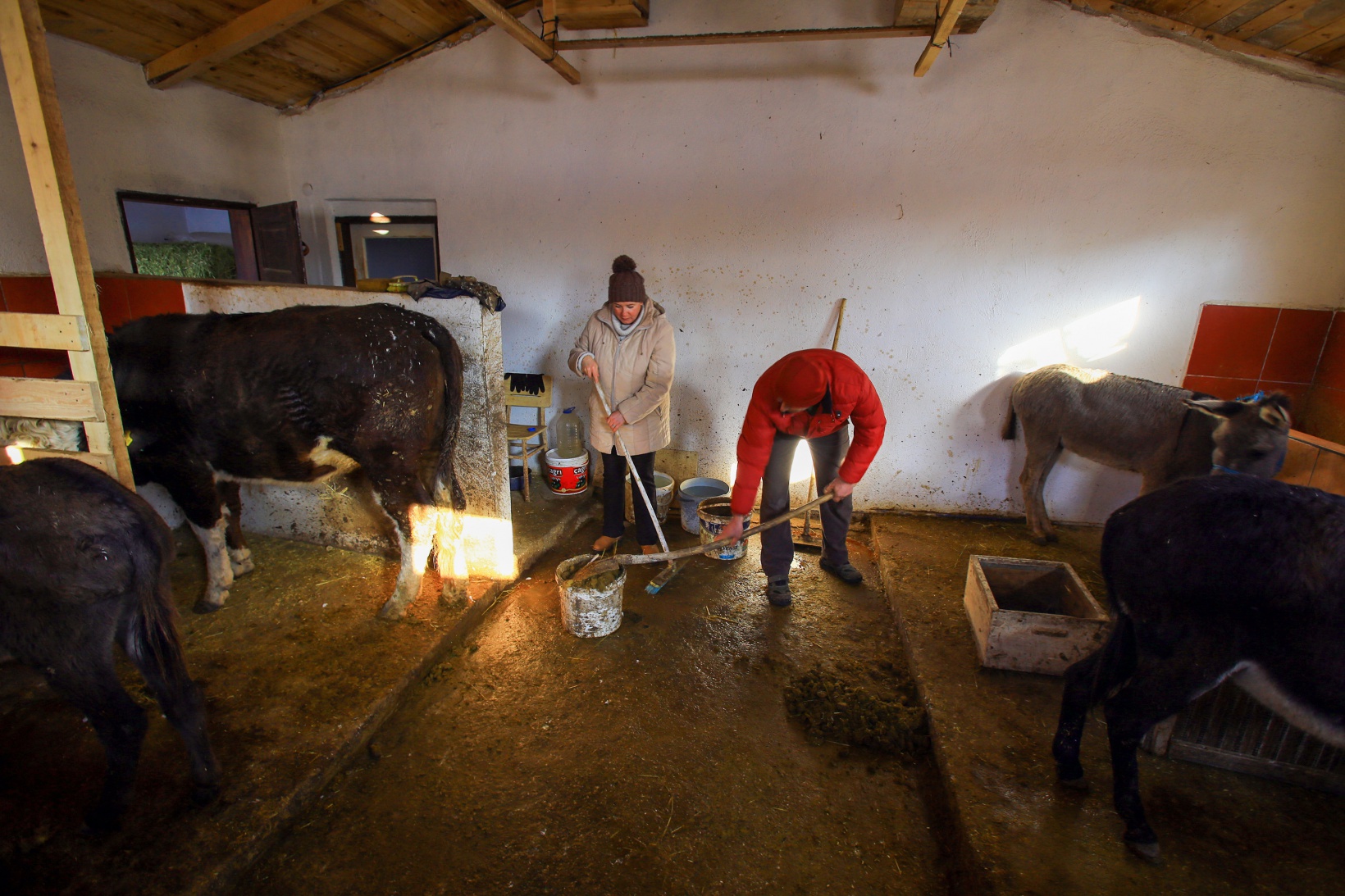 Kendisini 'diplomalı eşek bakıcısı' olarak nitelendiren vatandaştan insanlık dersi 3
