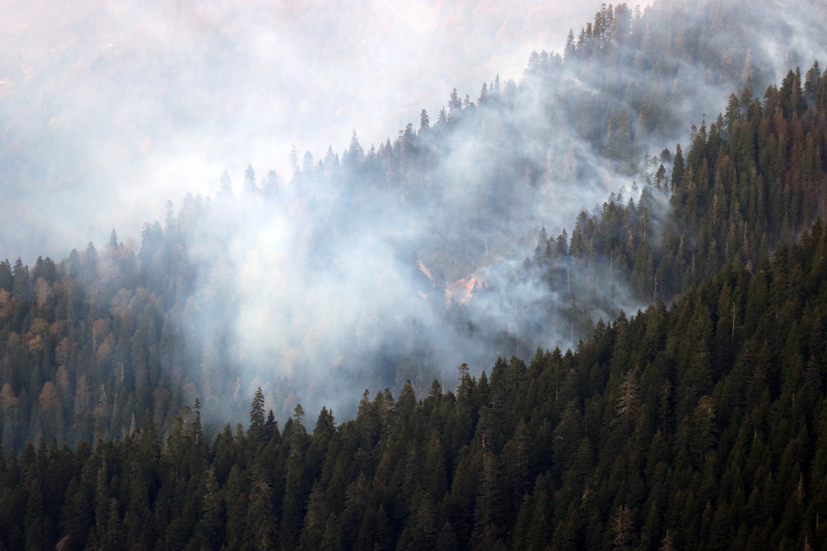 Kürtün’deki yangınlara müdahale devam ediyor 13