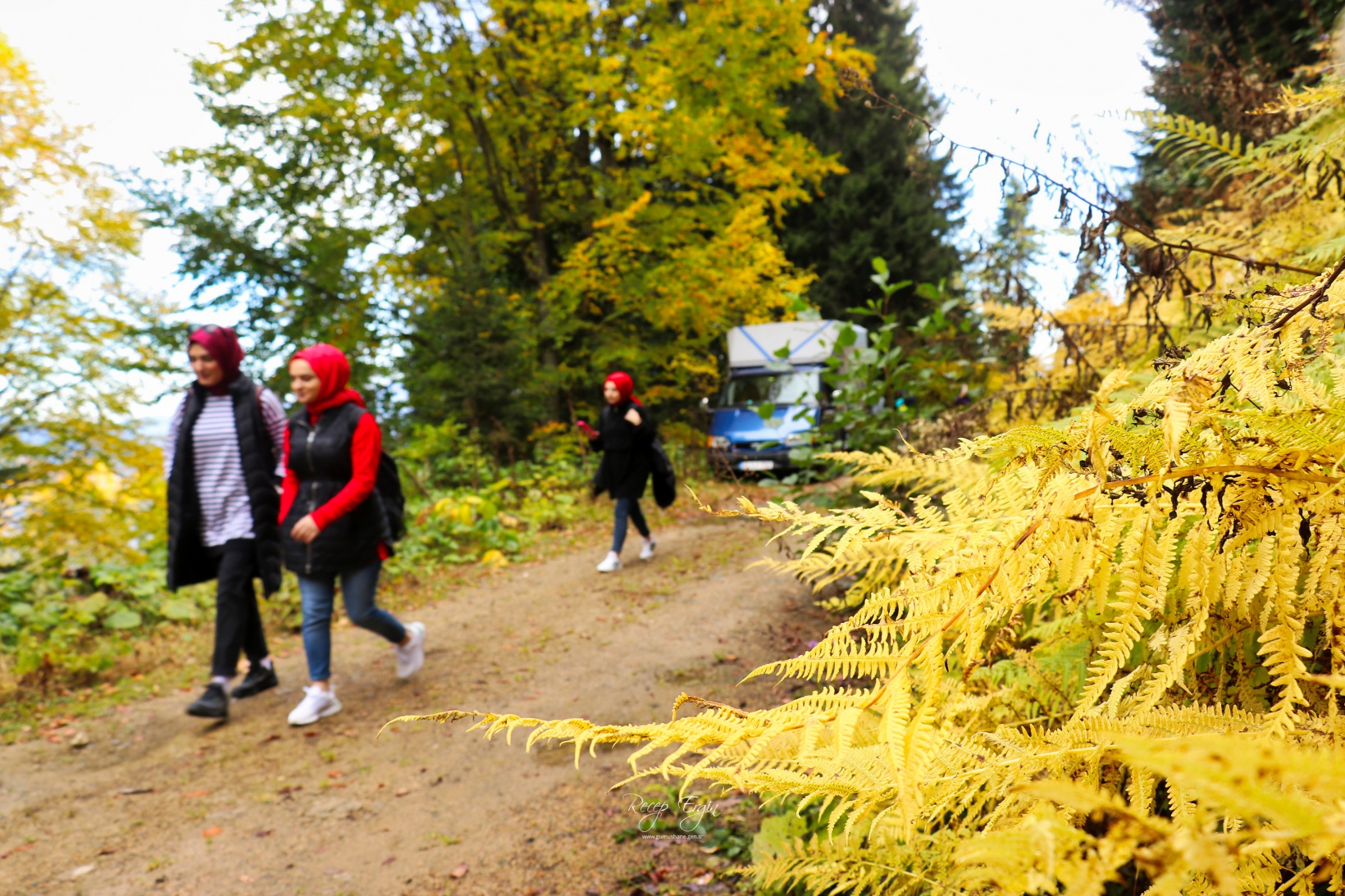 Doğa harikası Örümcek Ormanlarında renk cümbüşü başladı 5