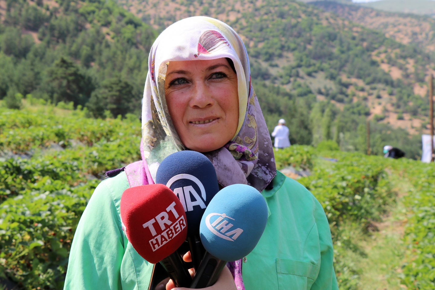 Gümüşhane’de çilek bereketi 41