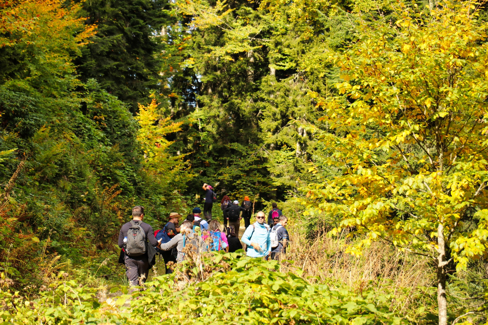Doğa harikası Örümcek Ormanlarında renk cümbüşü başladı 42