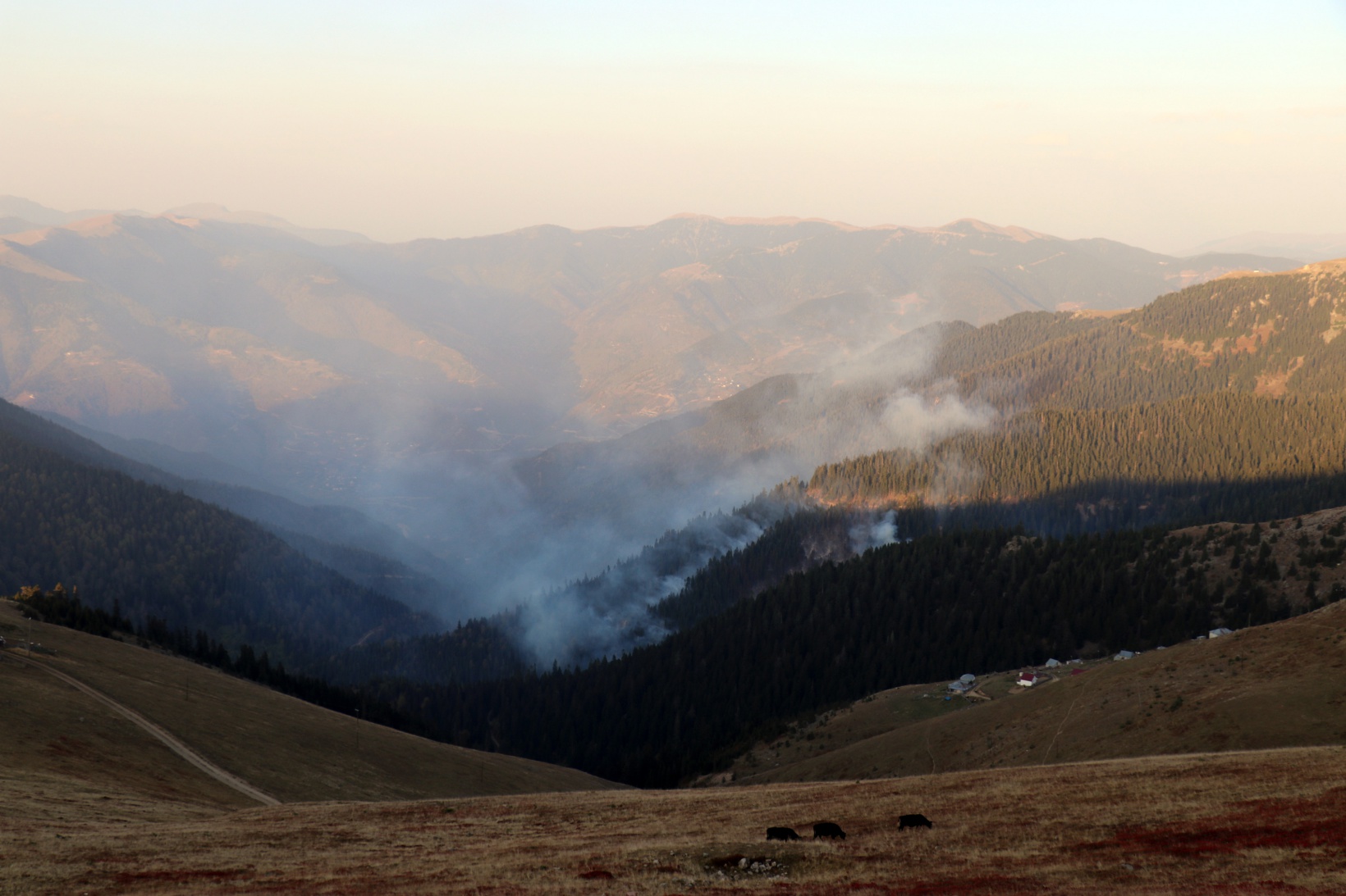 Kürtün’deki yangınlara müdahale devam ediyor 9
