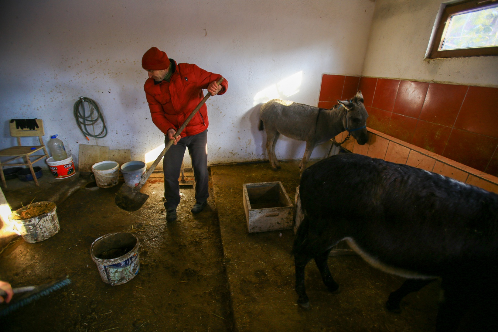 Kendisini 'diplomalı eşek bakıcısı' olarak nitelendiren vatandaştan insanlık dersi 11