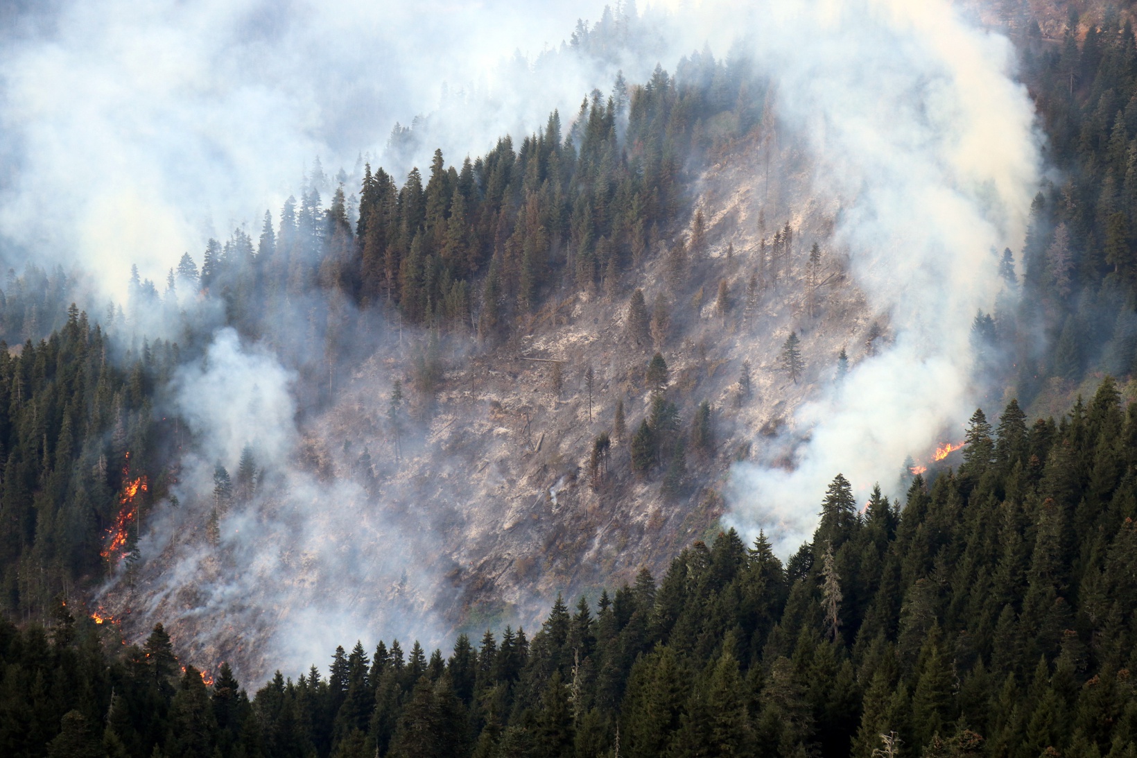 Kürtün’deki yangınlara müdahale devam ediyor 2