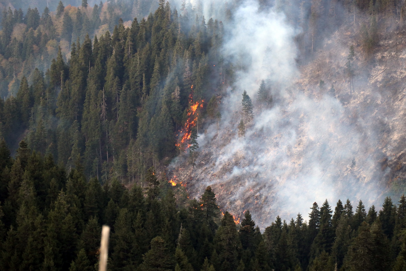 Kürtün’deki yangınlara müdahale devam ediyor 6
