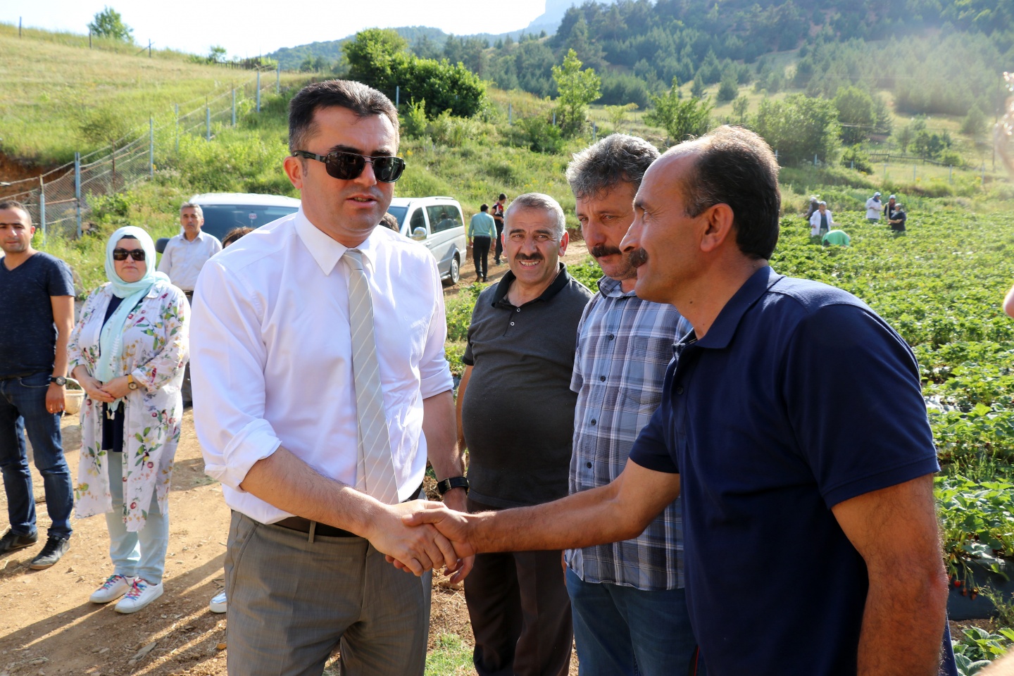 Gümüşhane’de çilek bereketi 40