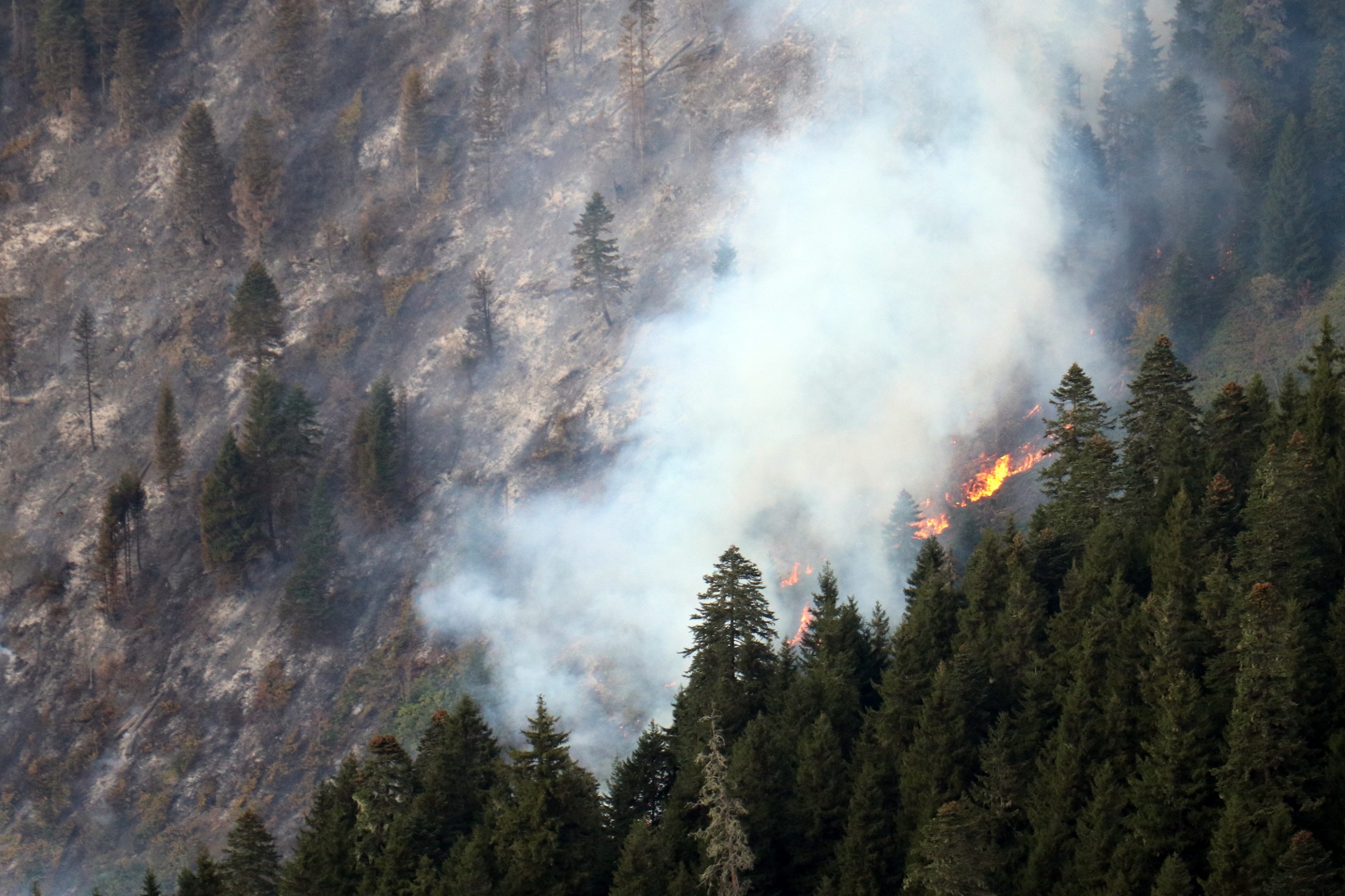 Kürtün’deki yangınlara müdahale devam ediyor 5