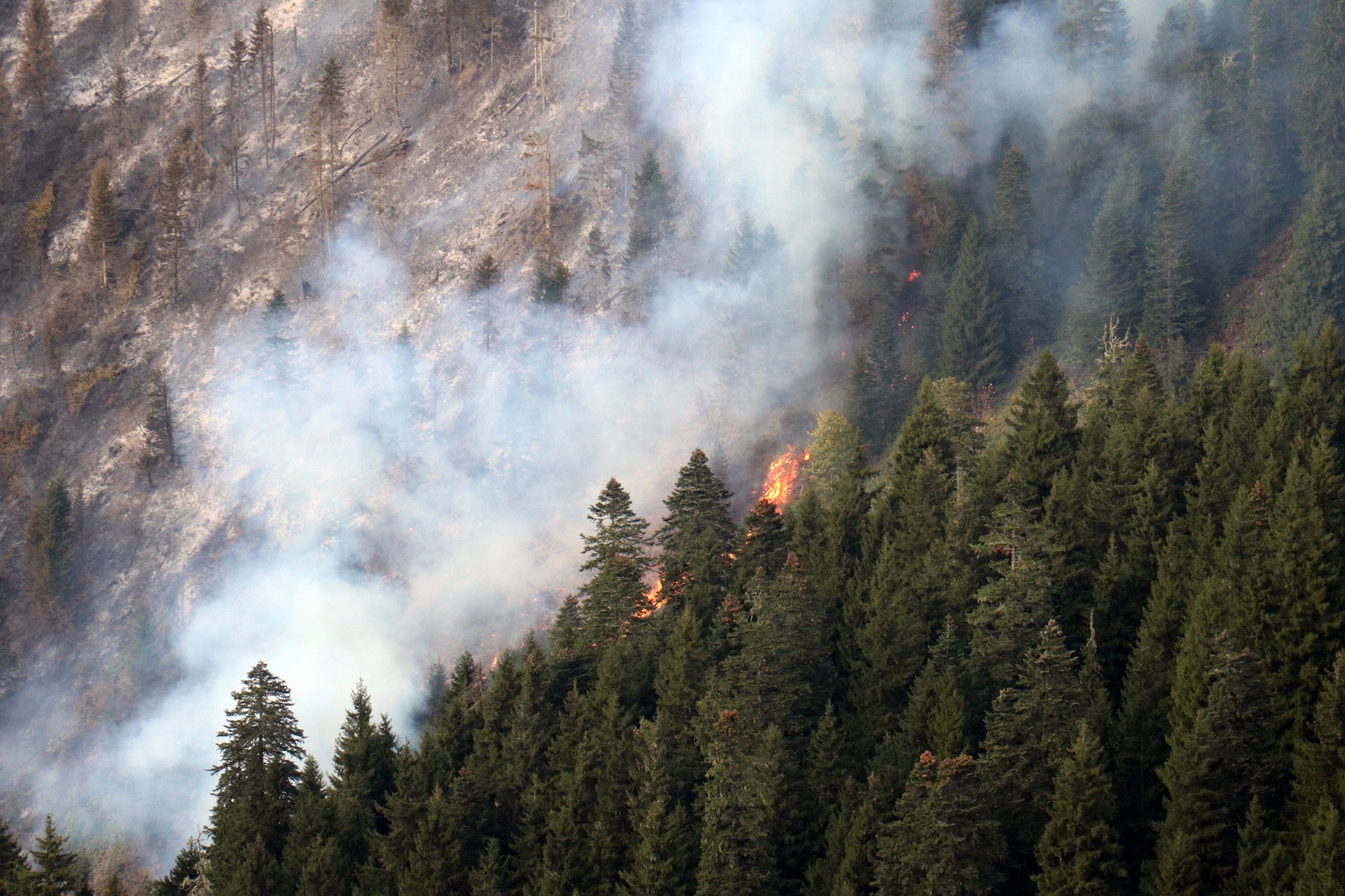 Kürtün’deki yangınlara müdahale devam ediyor 10