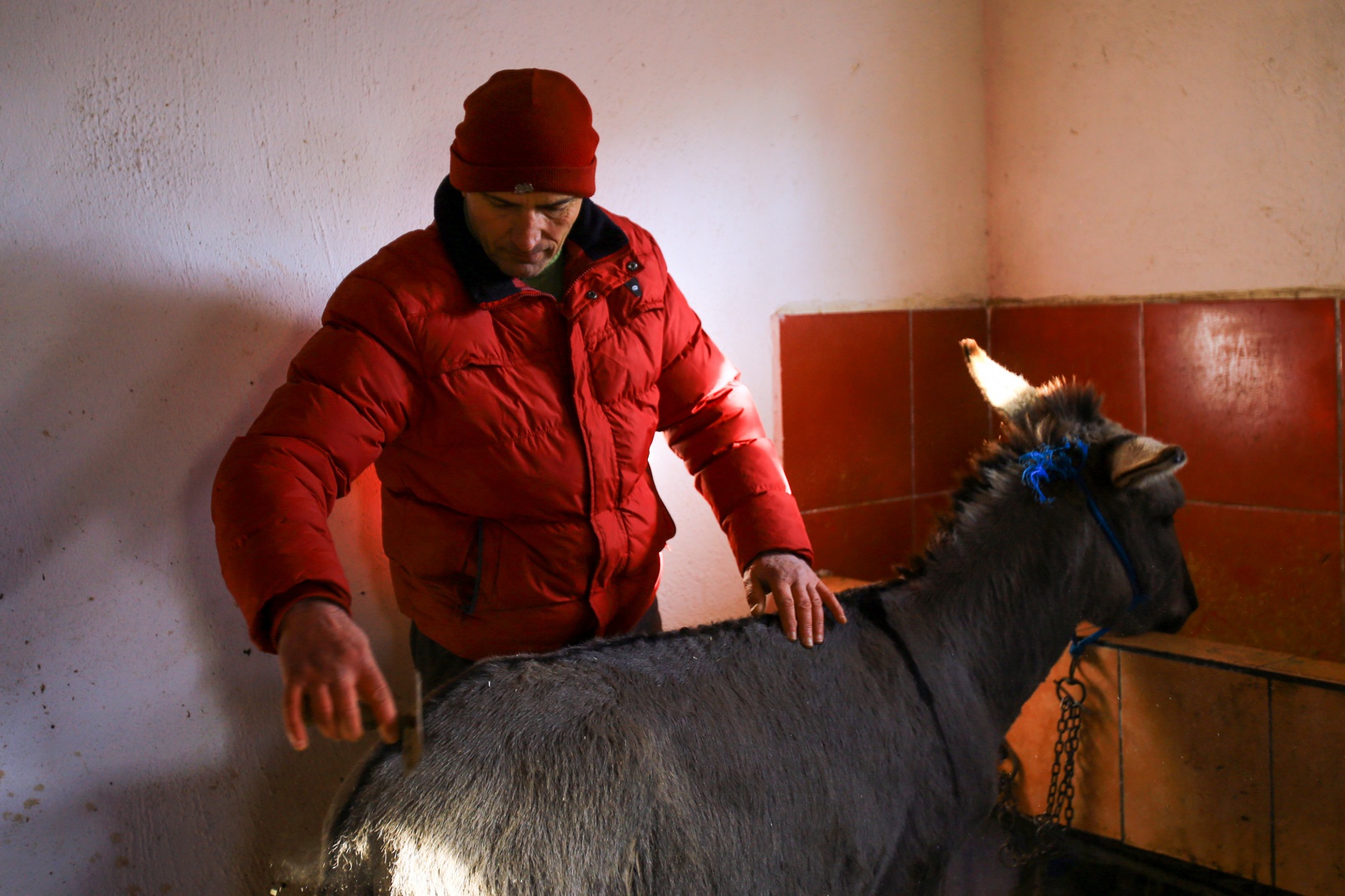Kendisini 'diplomalı eşek bakıcısı' olarak nitelendiren vatandaştan insanlık dersi 15
